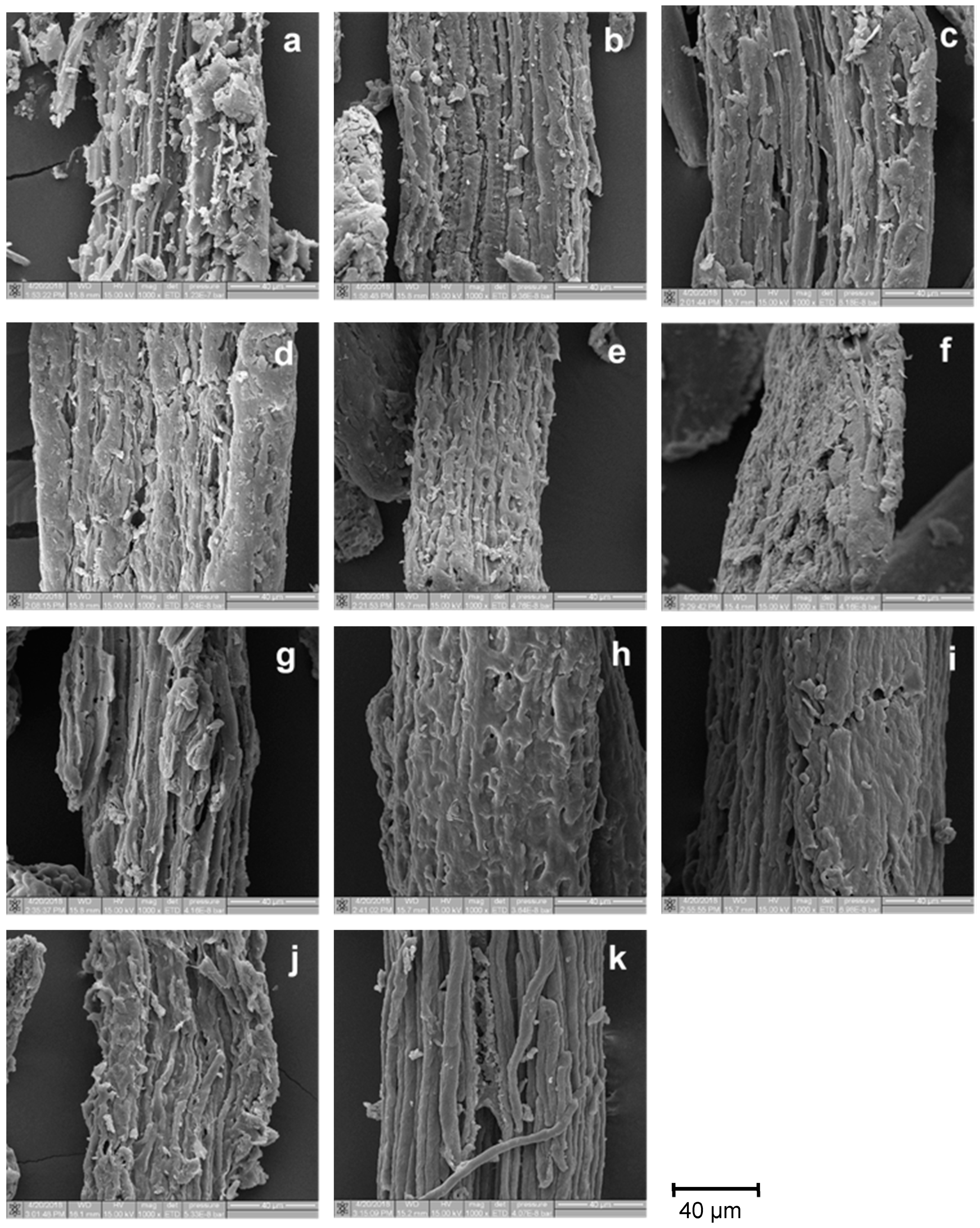 Polymers 12 01505 g004