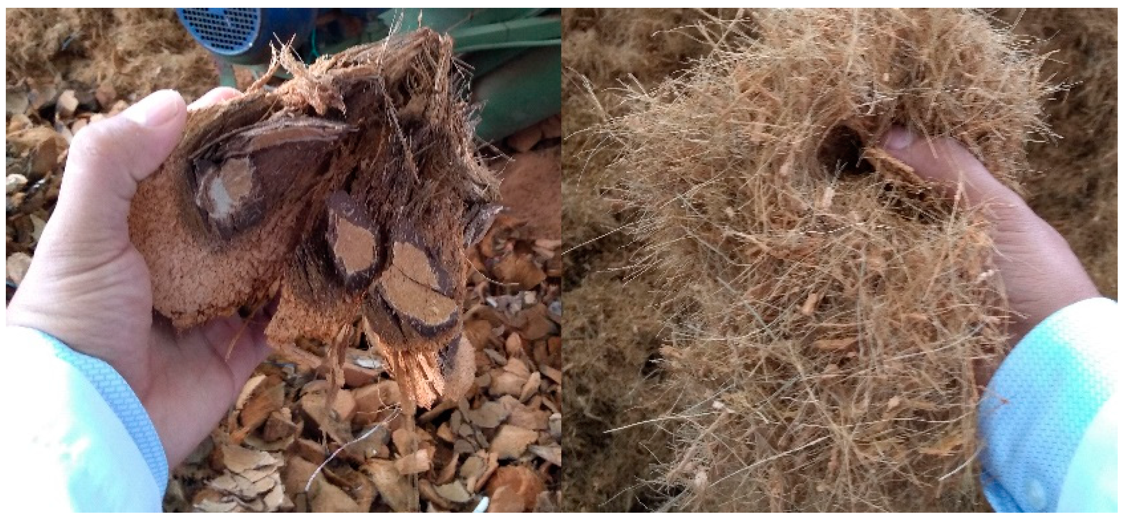 Polymers 12 01507 g001