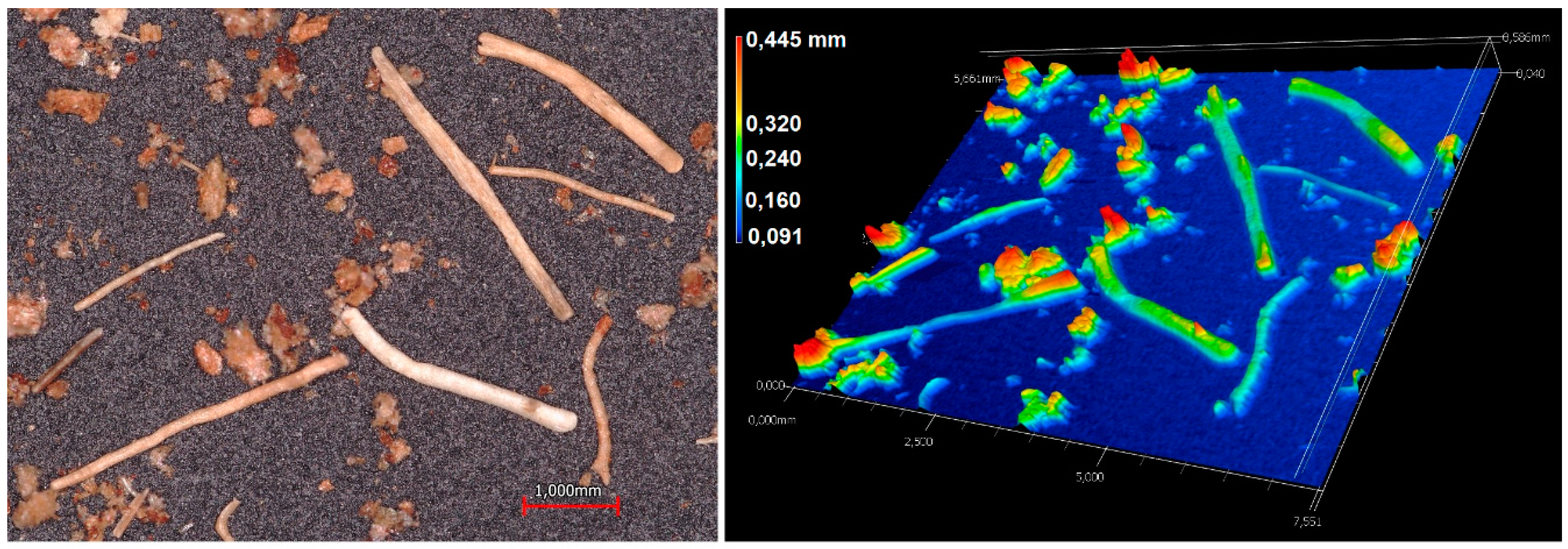 Polymers 12 01507 g003