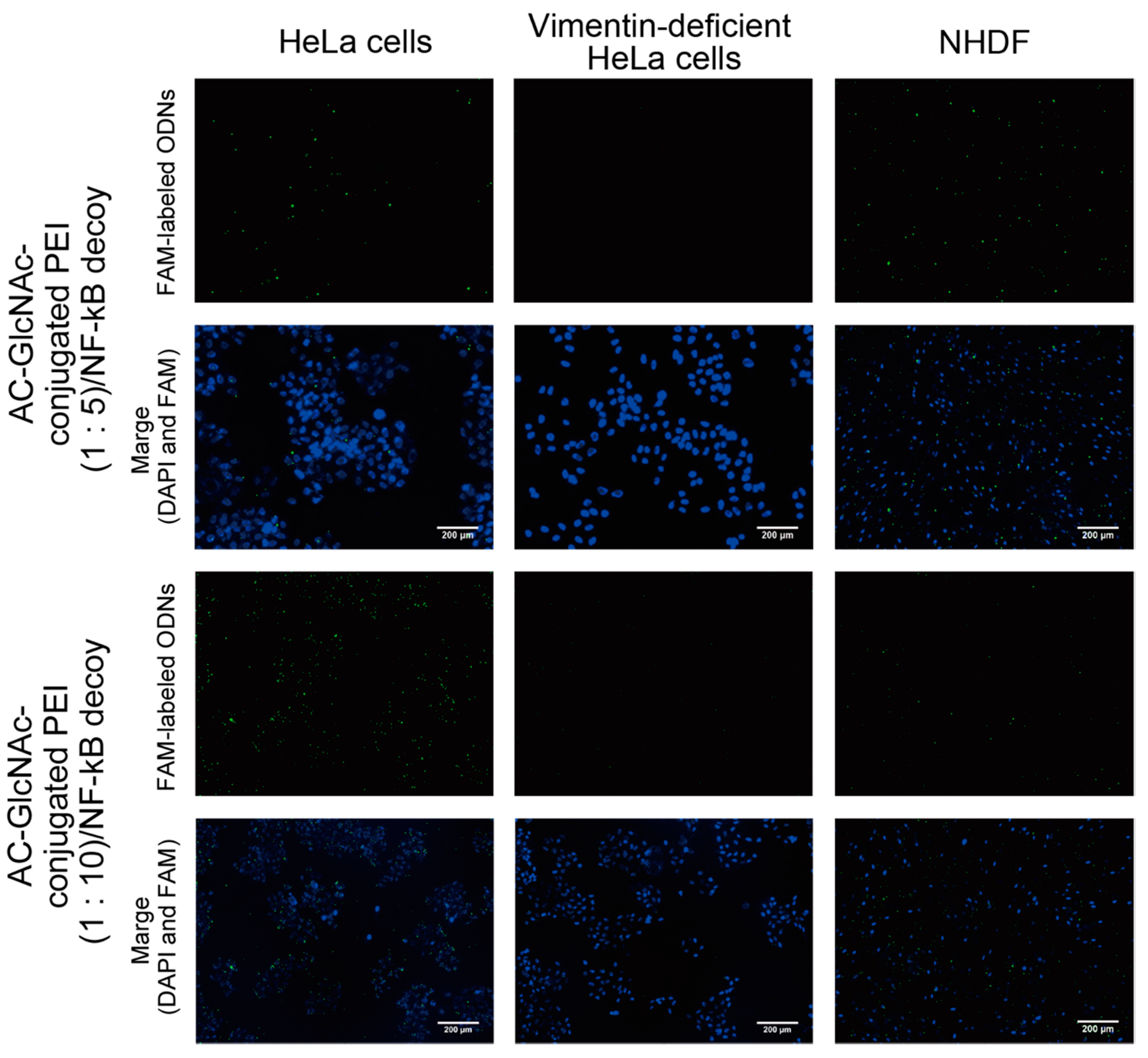 Polymers 12 01508 g006