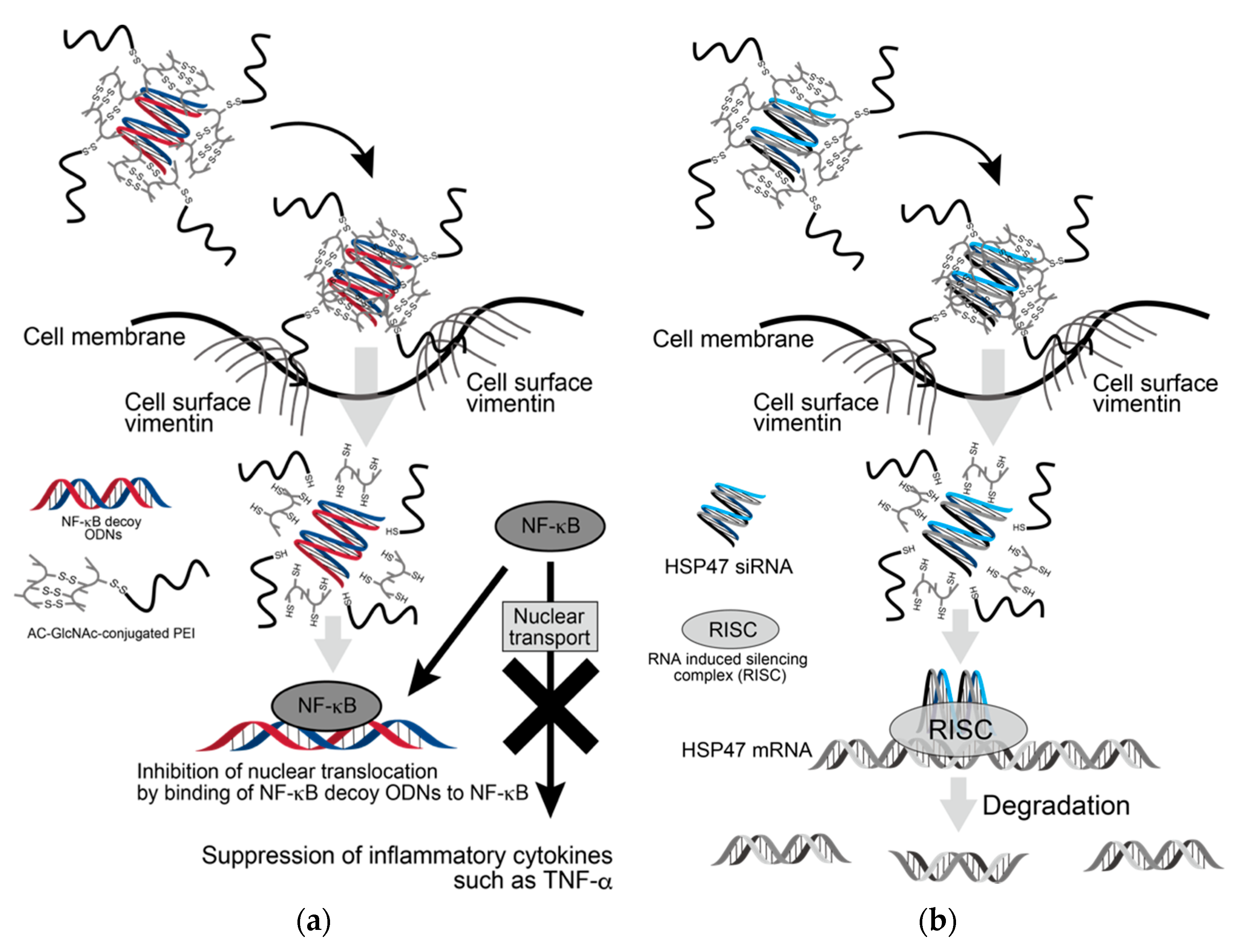 Polymers 12 01508 g008