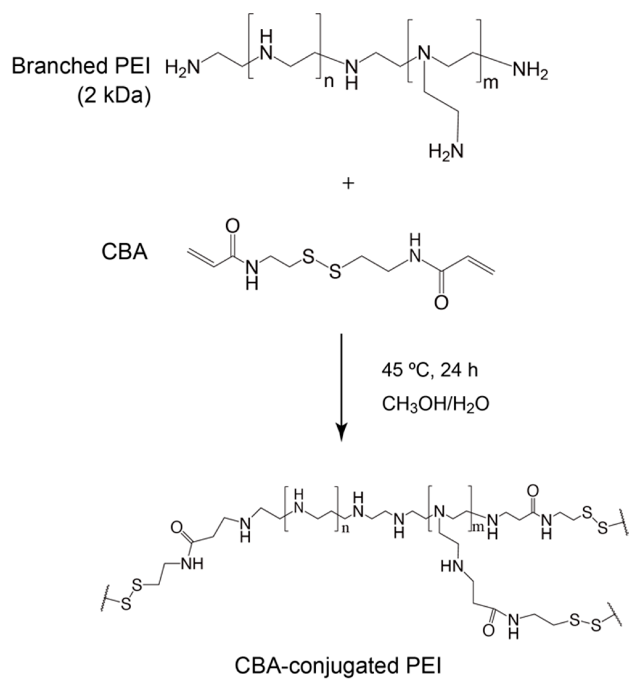 Polymers 12 01508 sch001