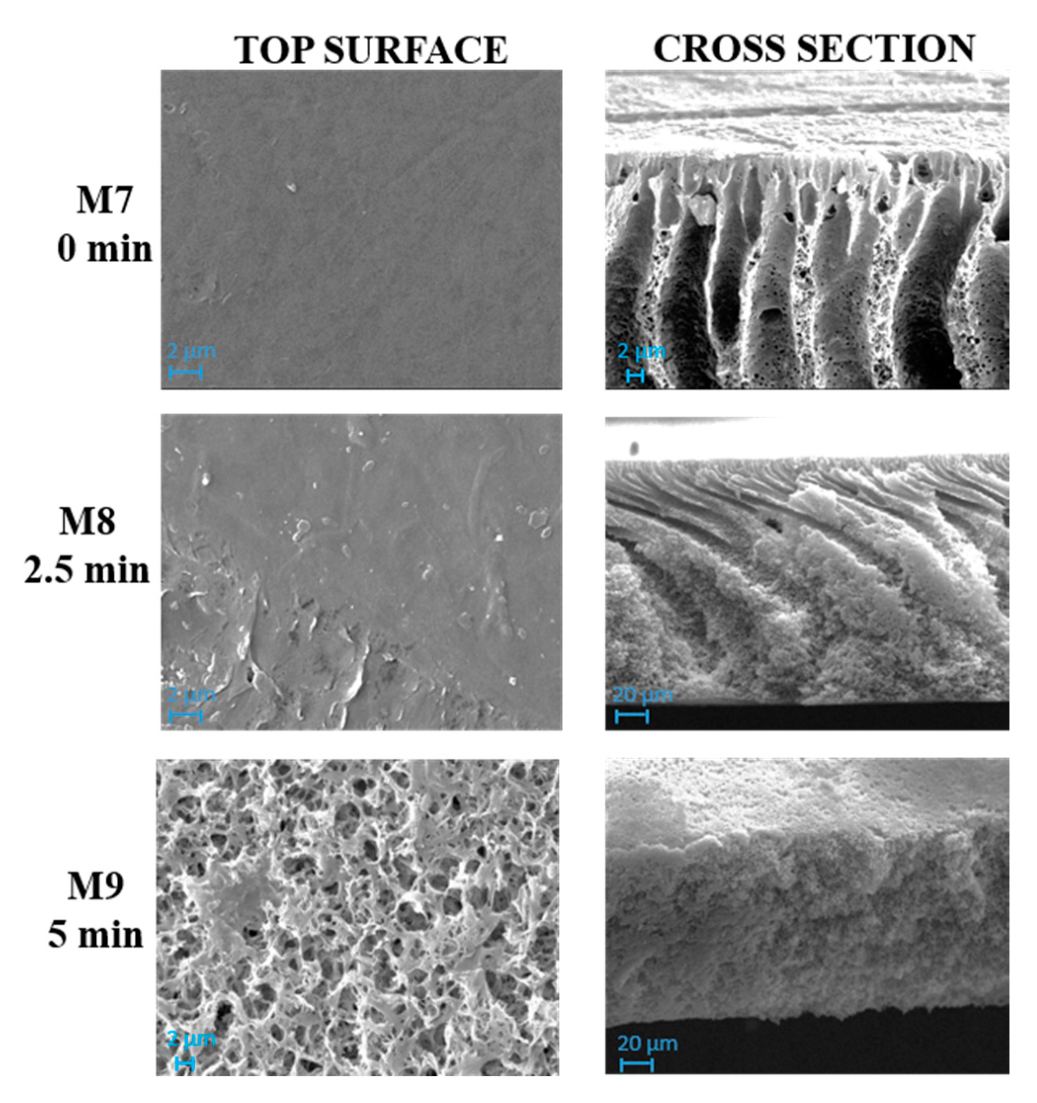 Polymers 12 01509 g005 Polymers 12 01509 g005