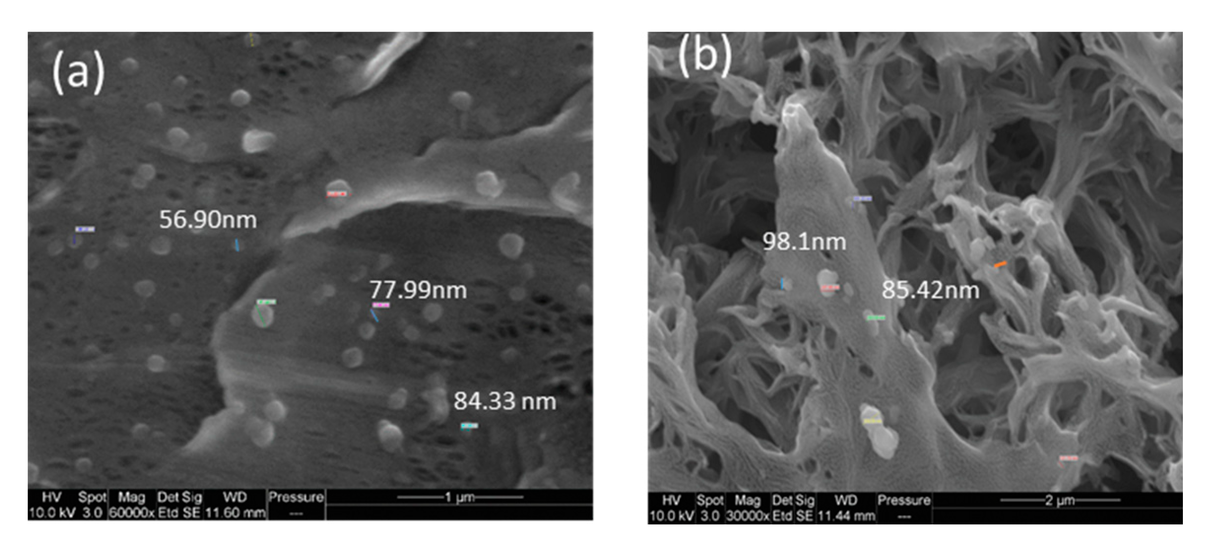 Polymers 12 01509 g007 Polymers 12 01509 g007