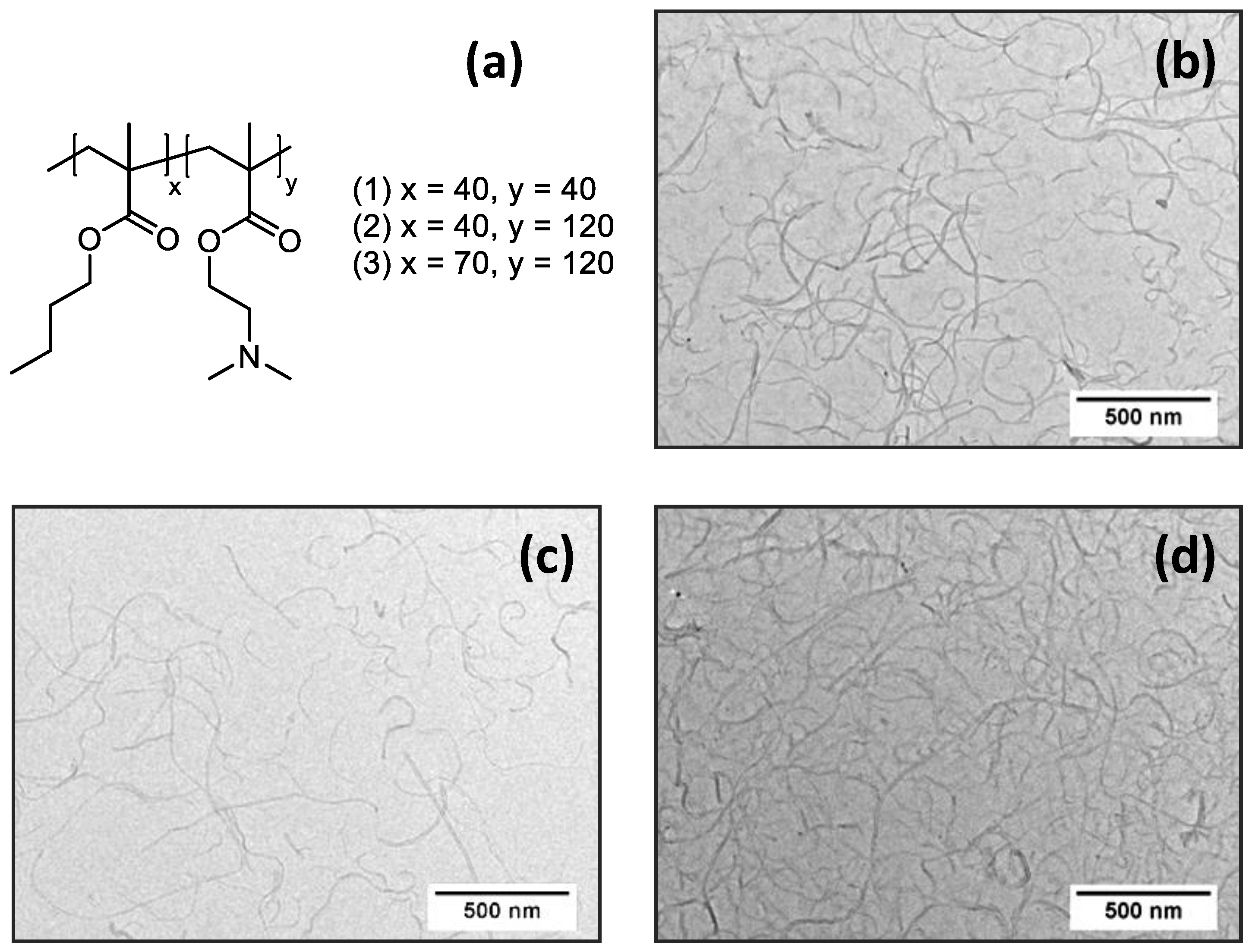 Polymers 12 01514 g001