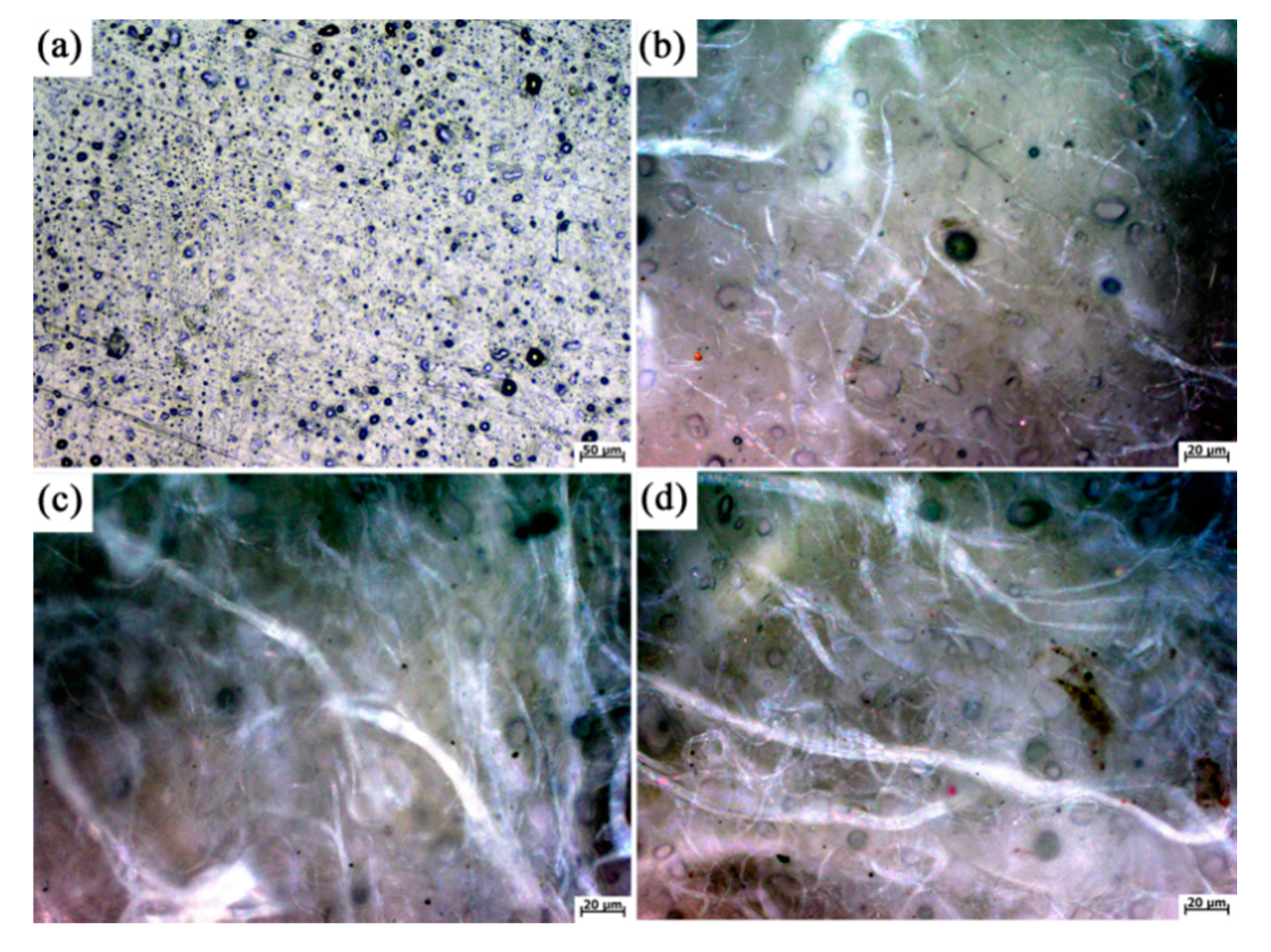 Polymers 12 01523 g002