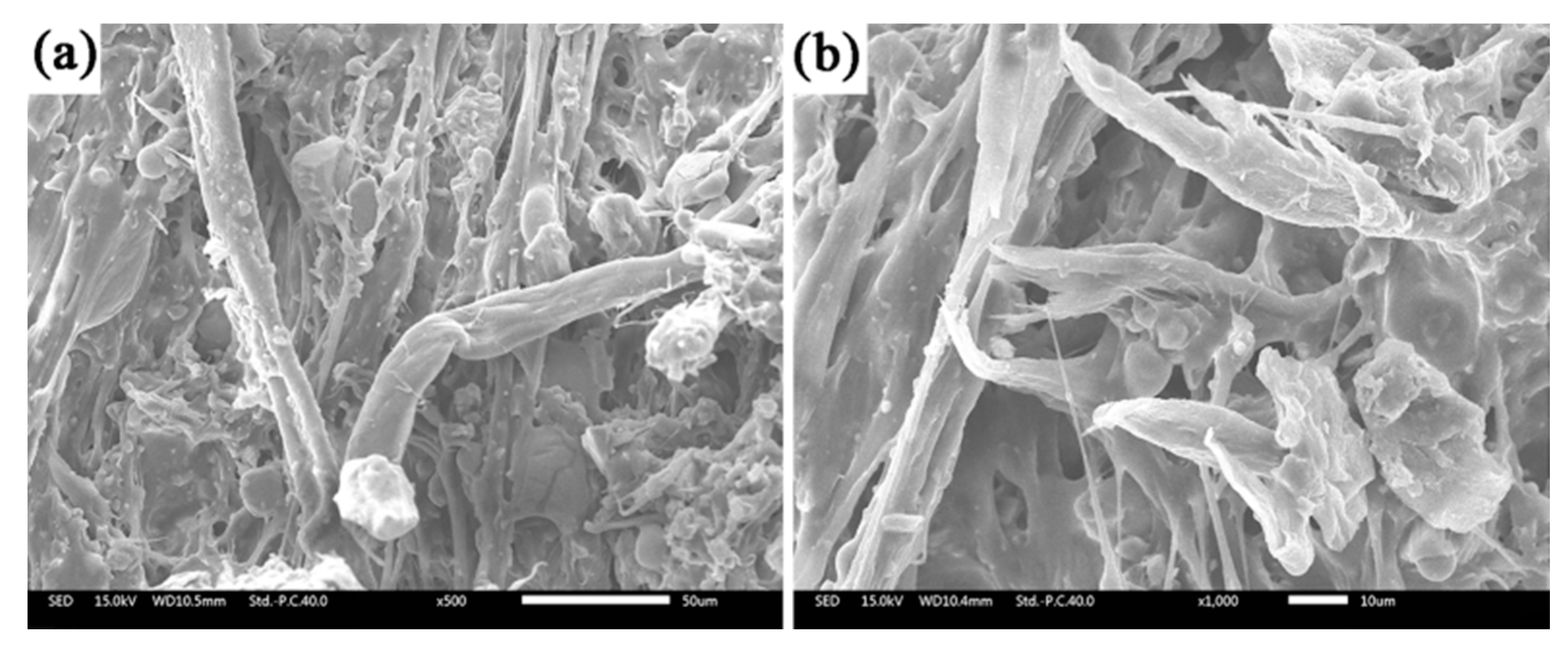 Polymers 12 01523 g007