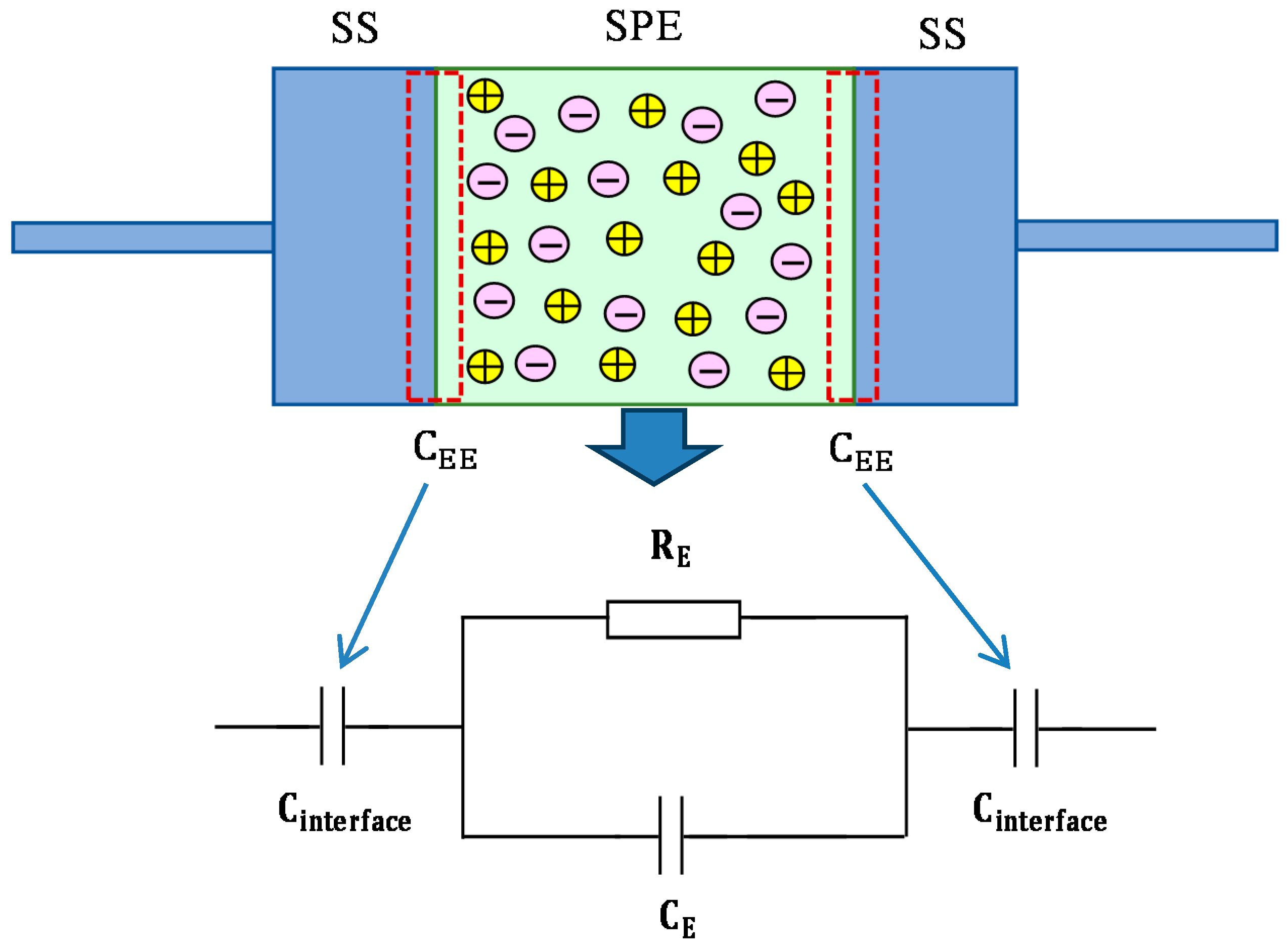 Polymers 12 01526 g006
