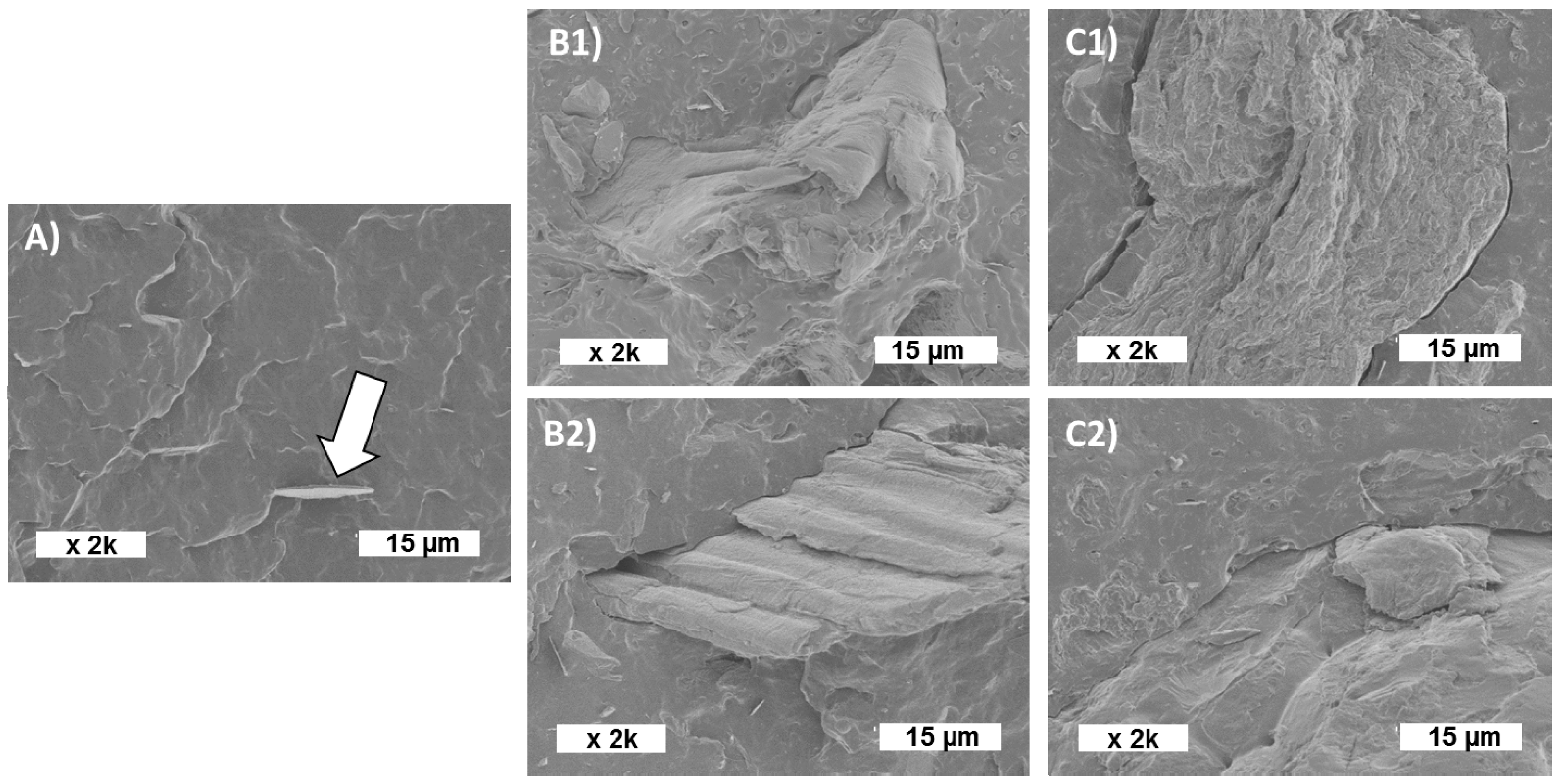 Polymers 12 01530 g004 Polymers 12 01530 g004