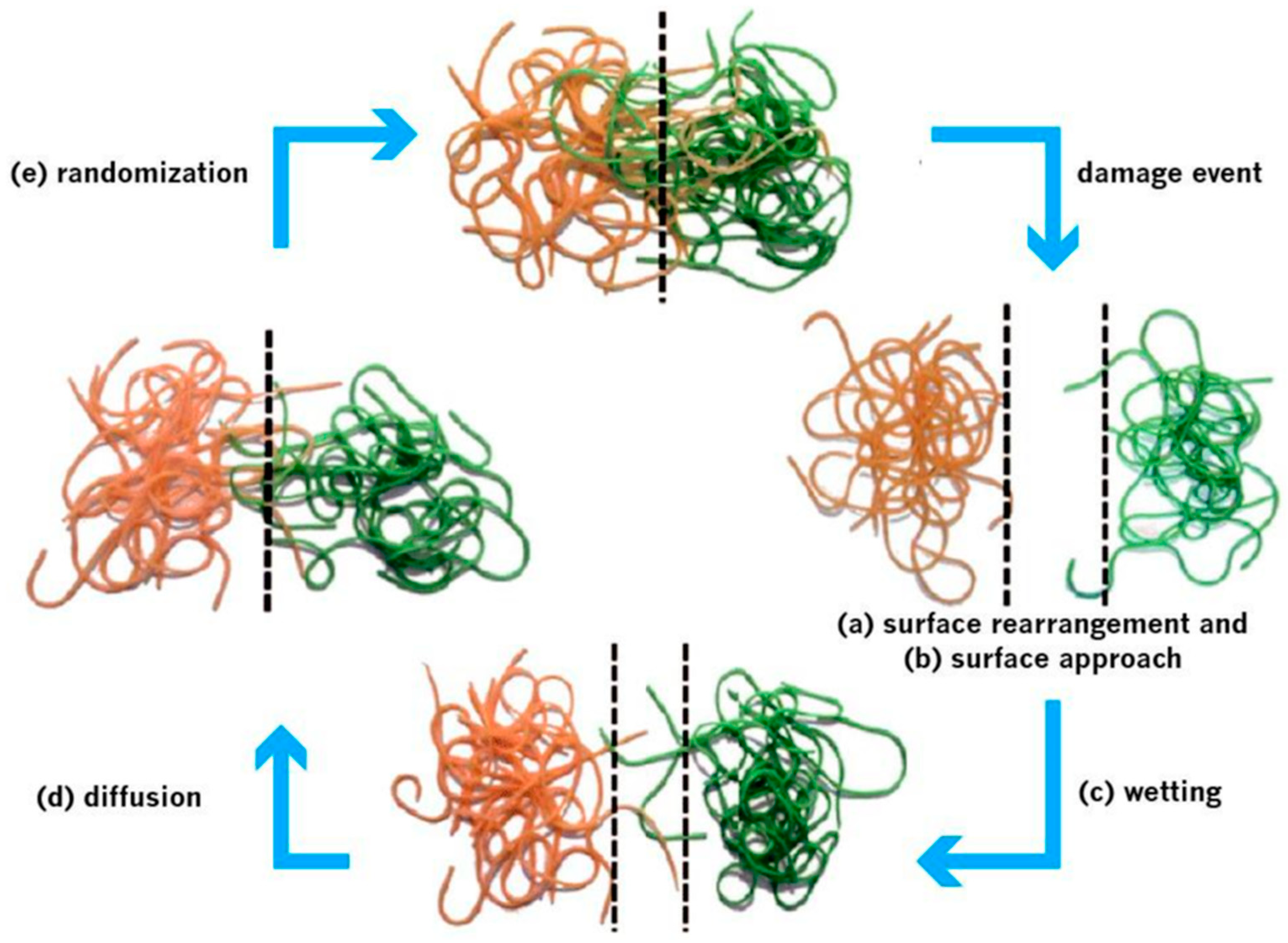 Polymers 12 01534 g003