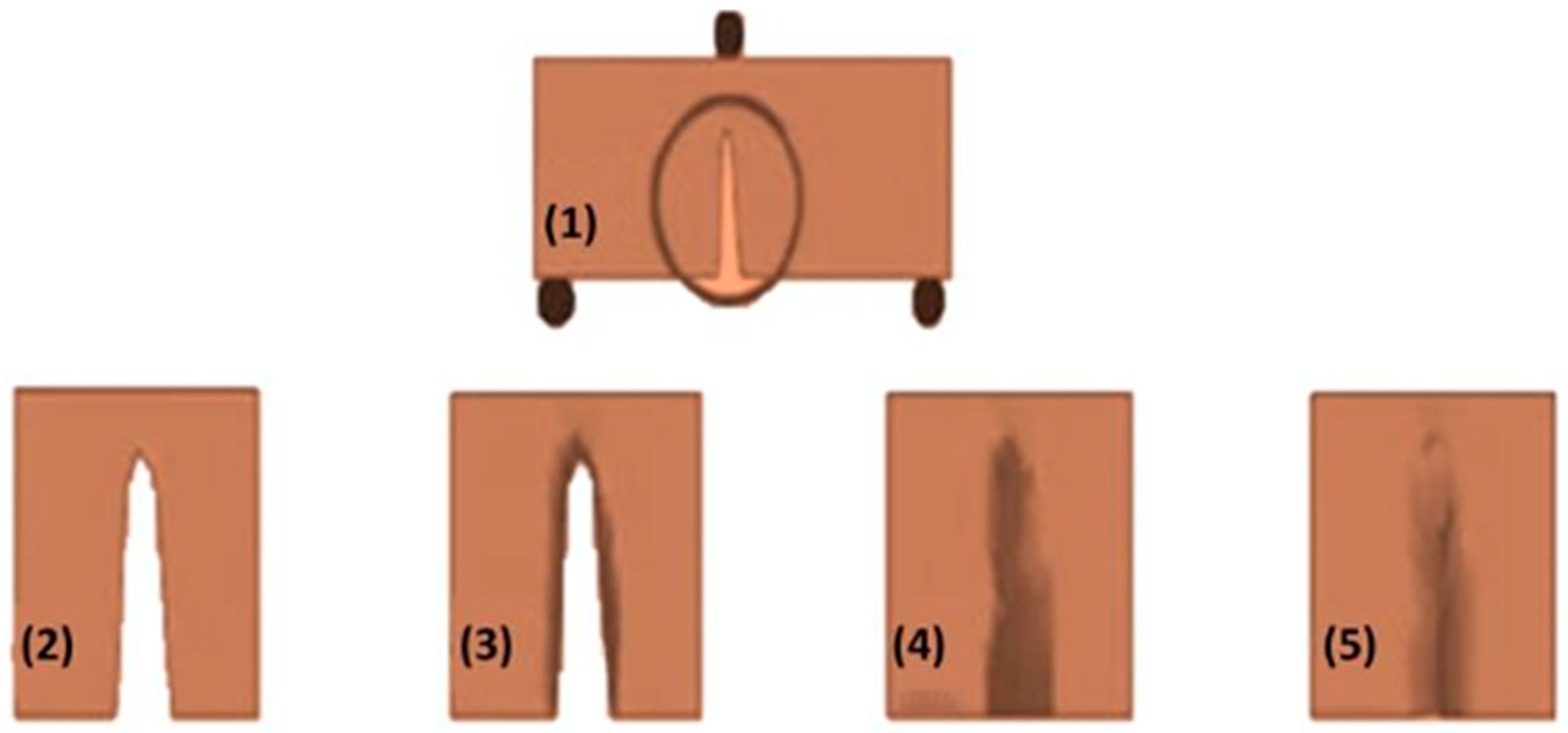 Polymers 12 01534 g004