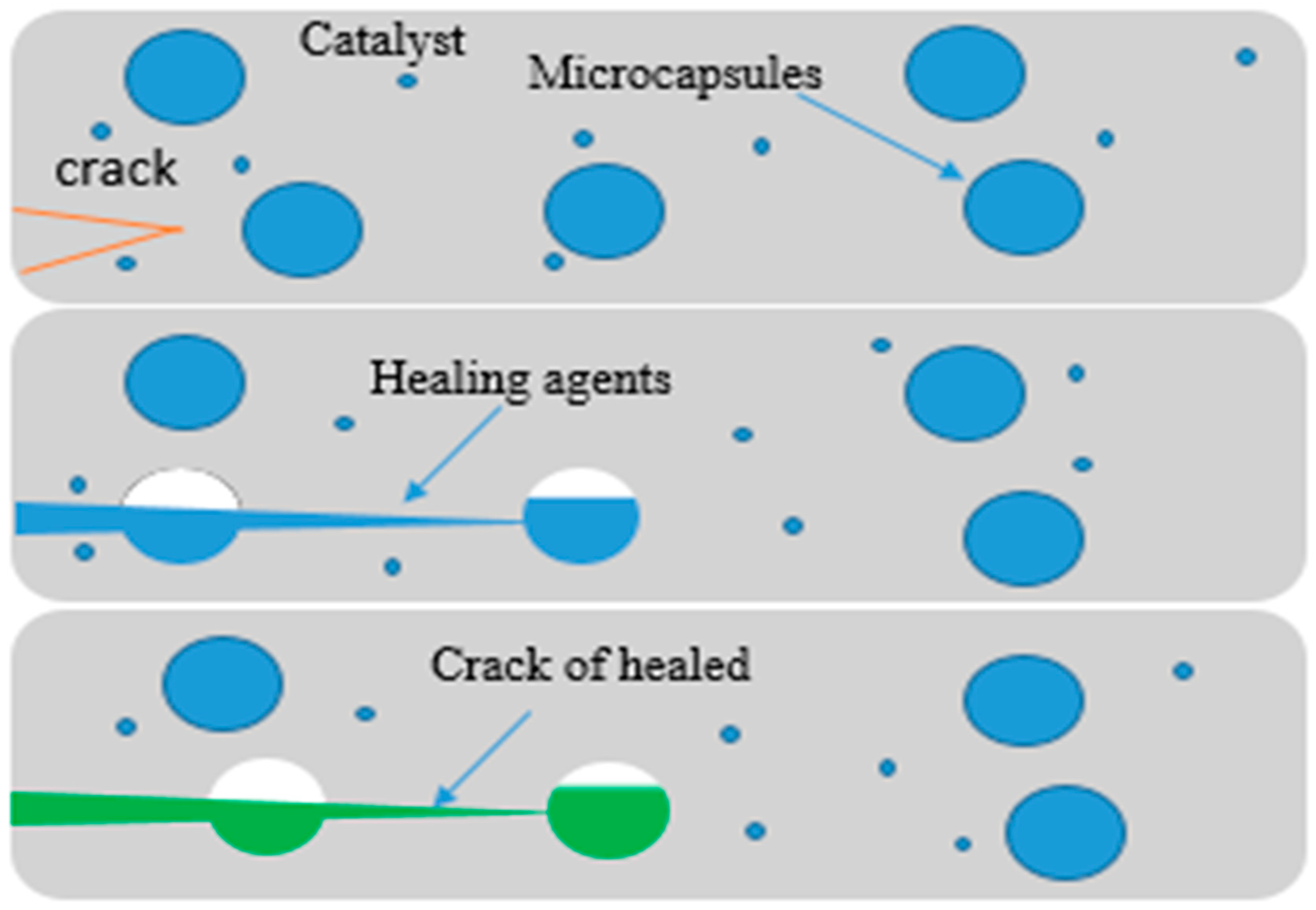 Polymers 12 01534 g005