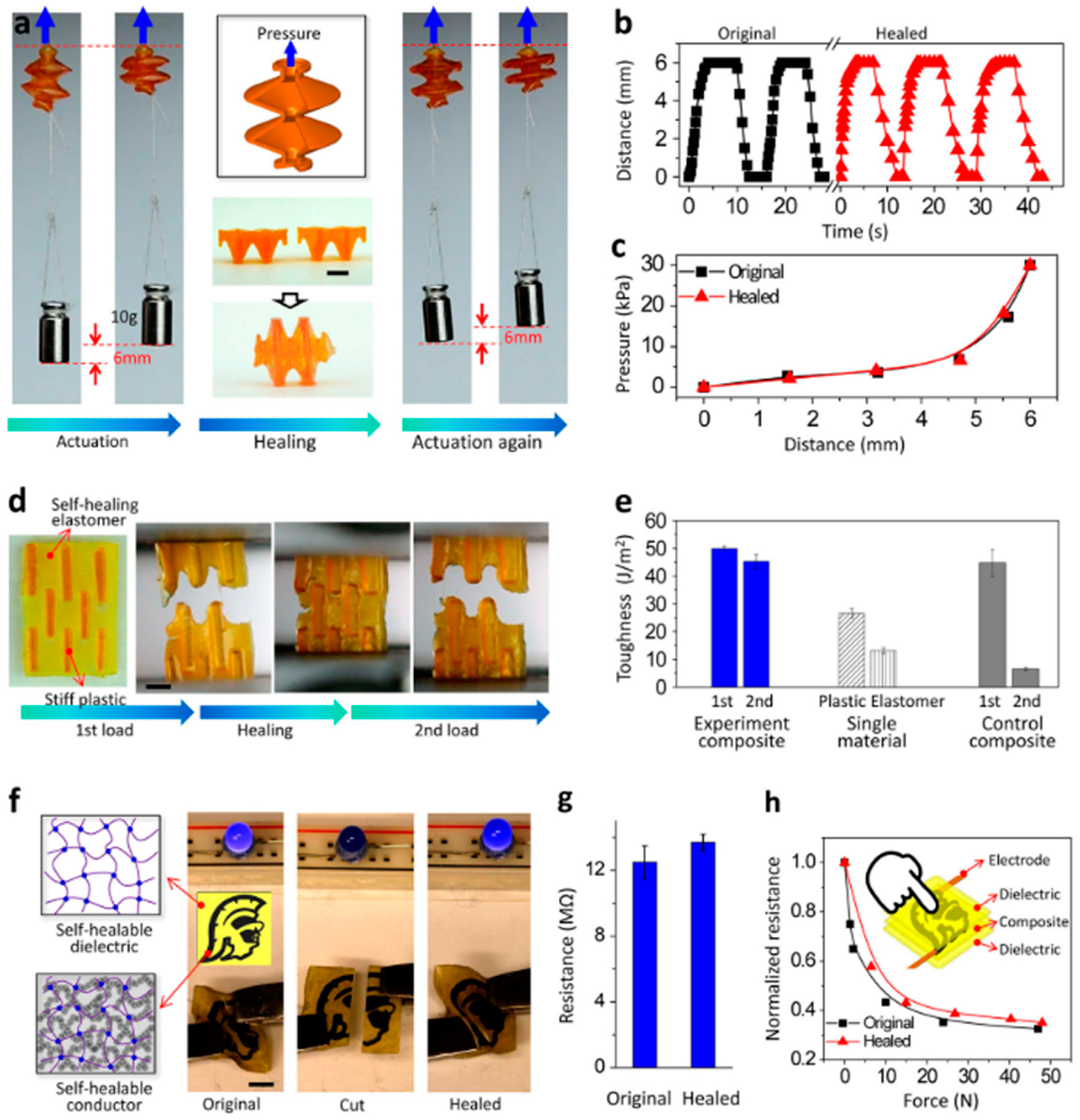 Polymers 12 01534 g007