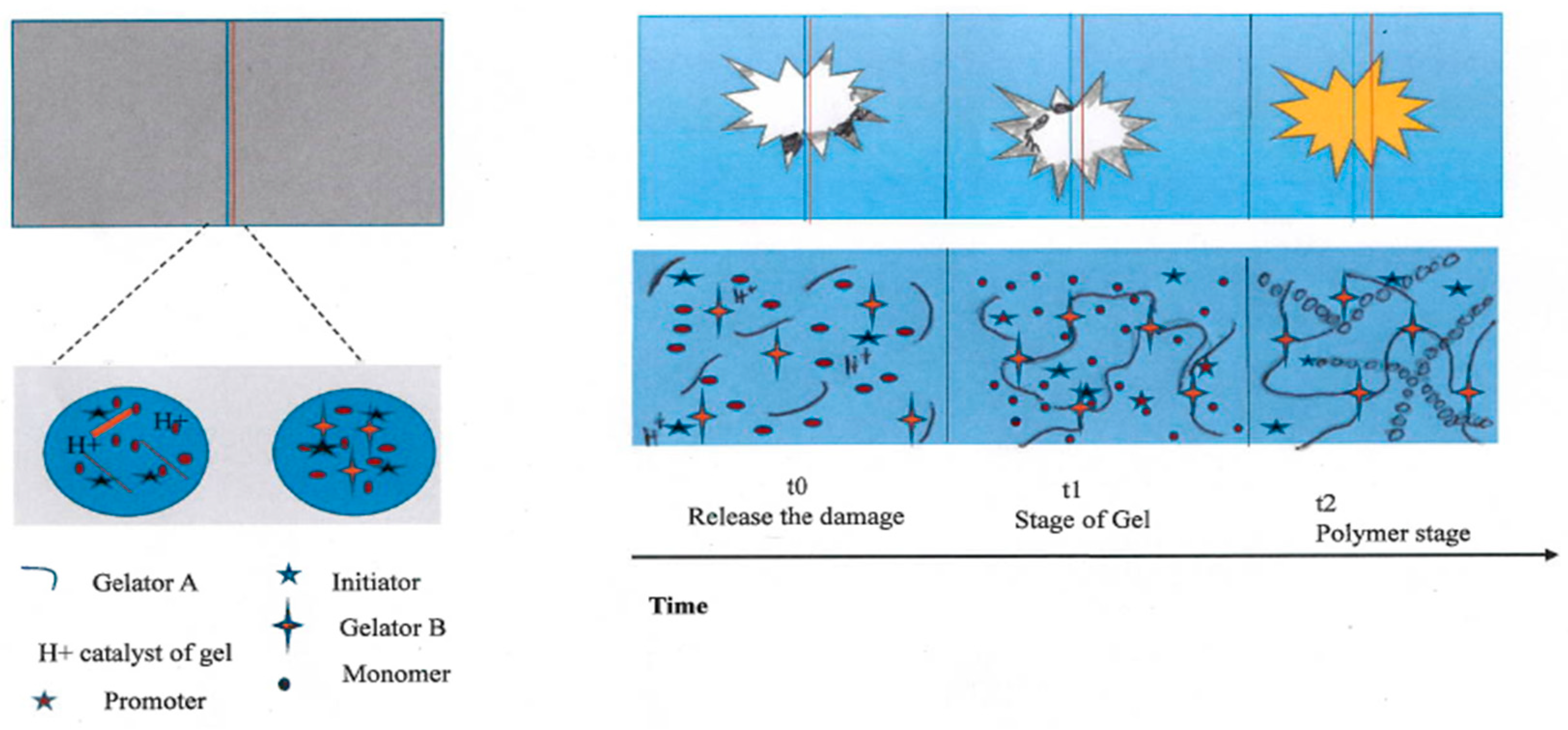 Polymers 12 01534 g008