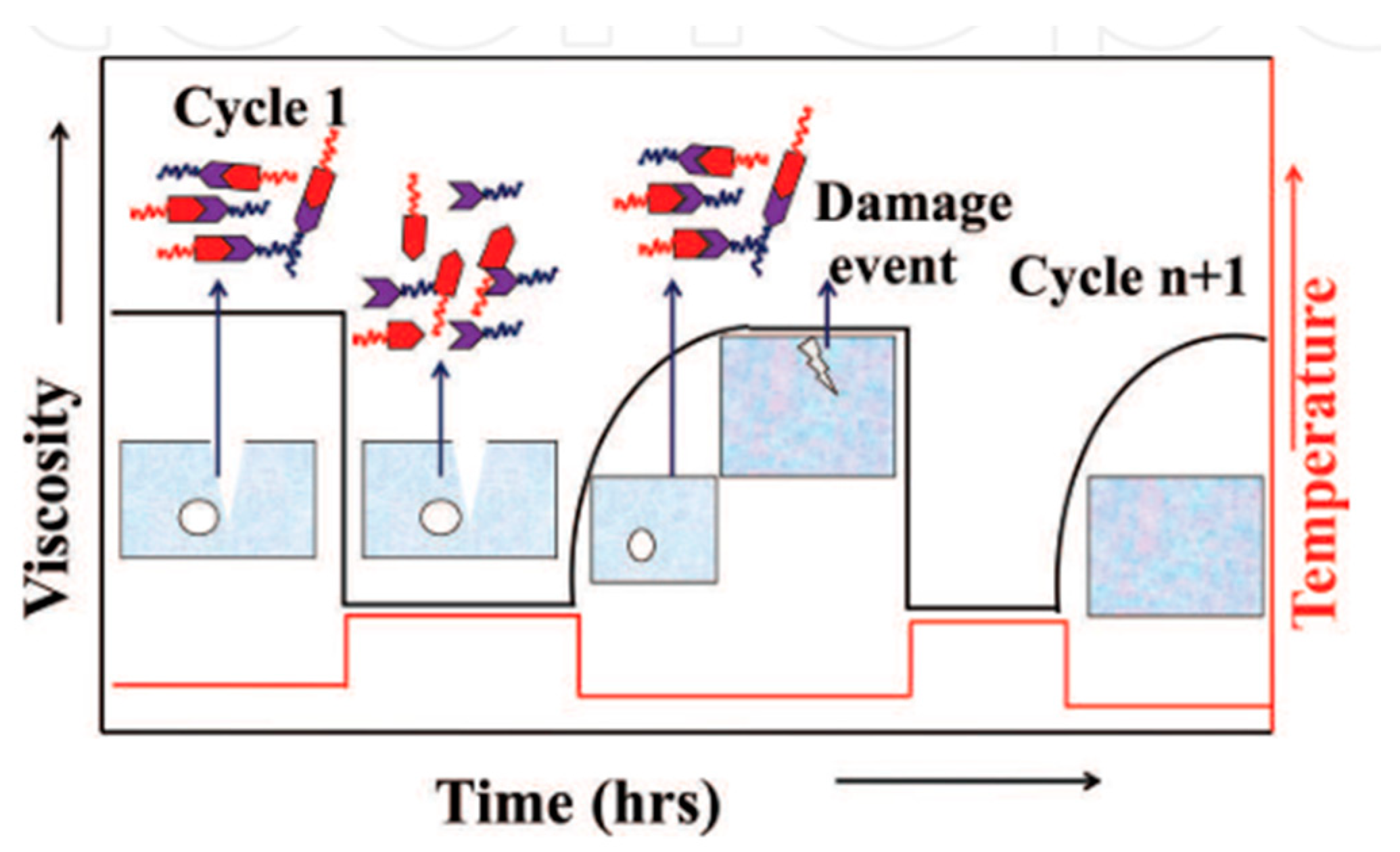 Polymers 12 01534 g011