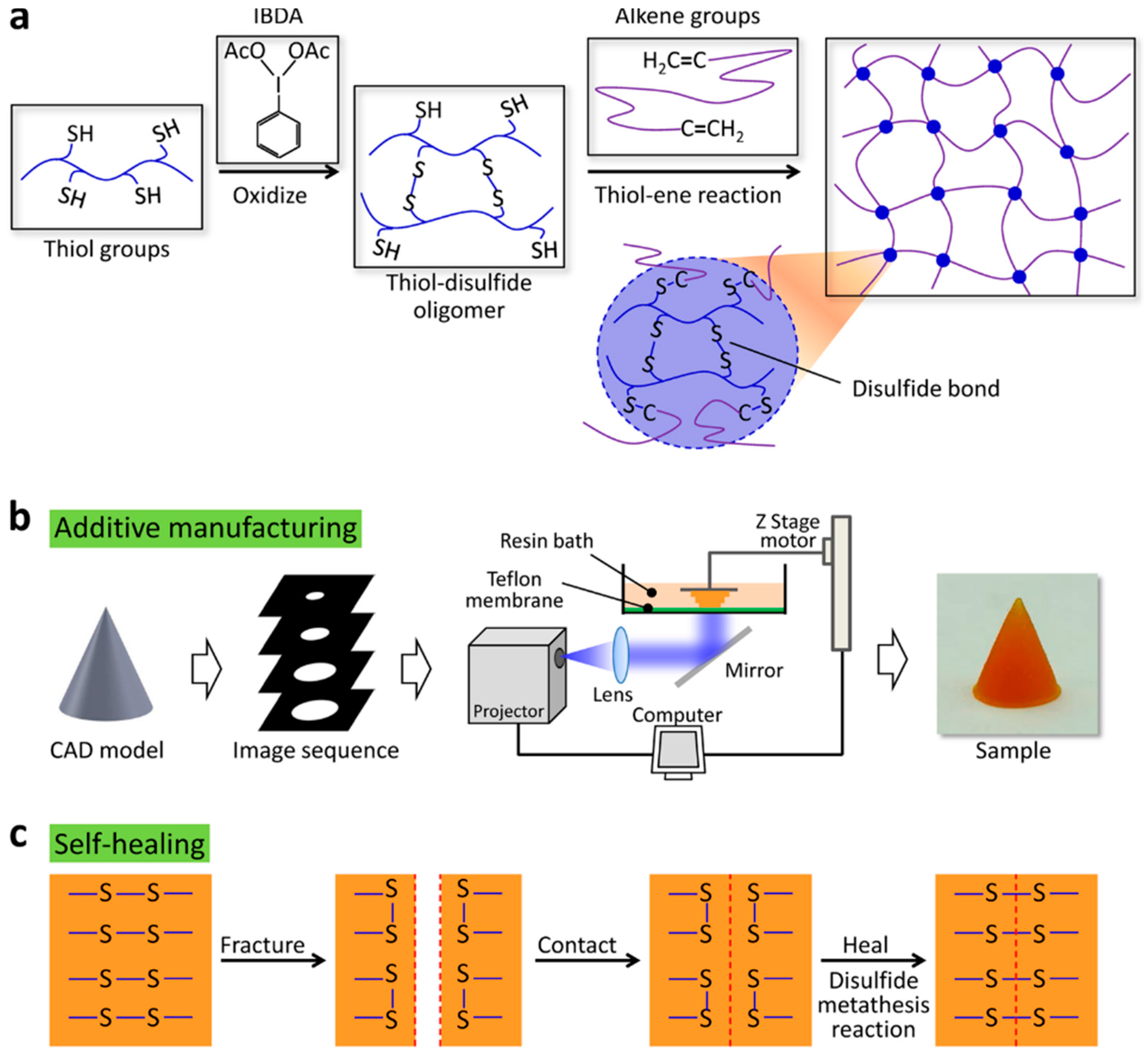 Polymers 12 01534 g015