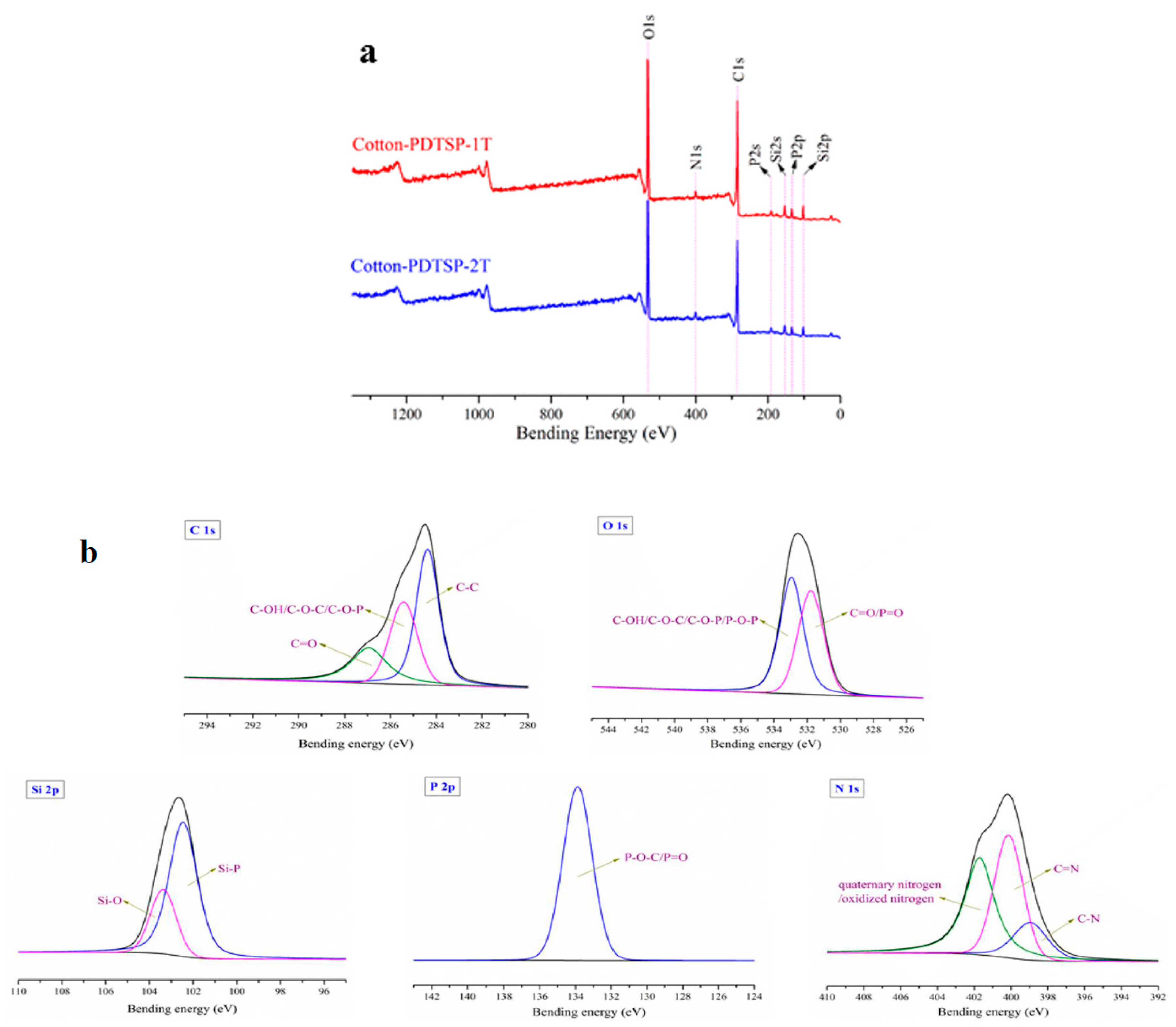 Polymers 12 01538 g005