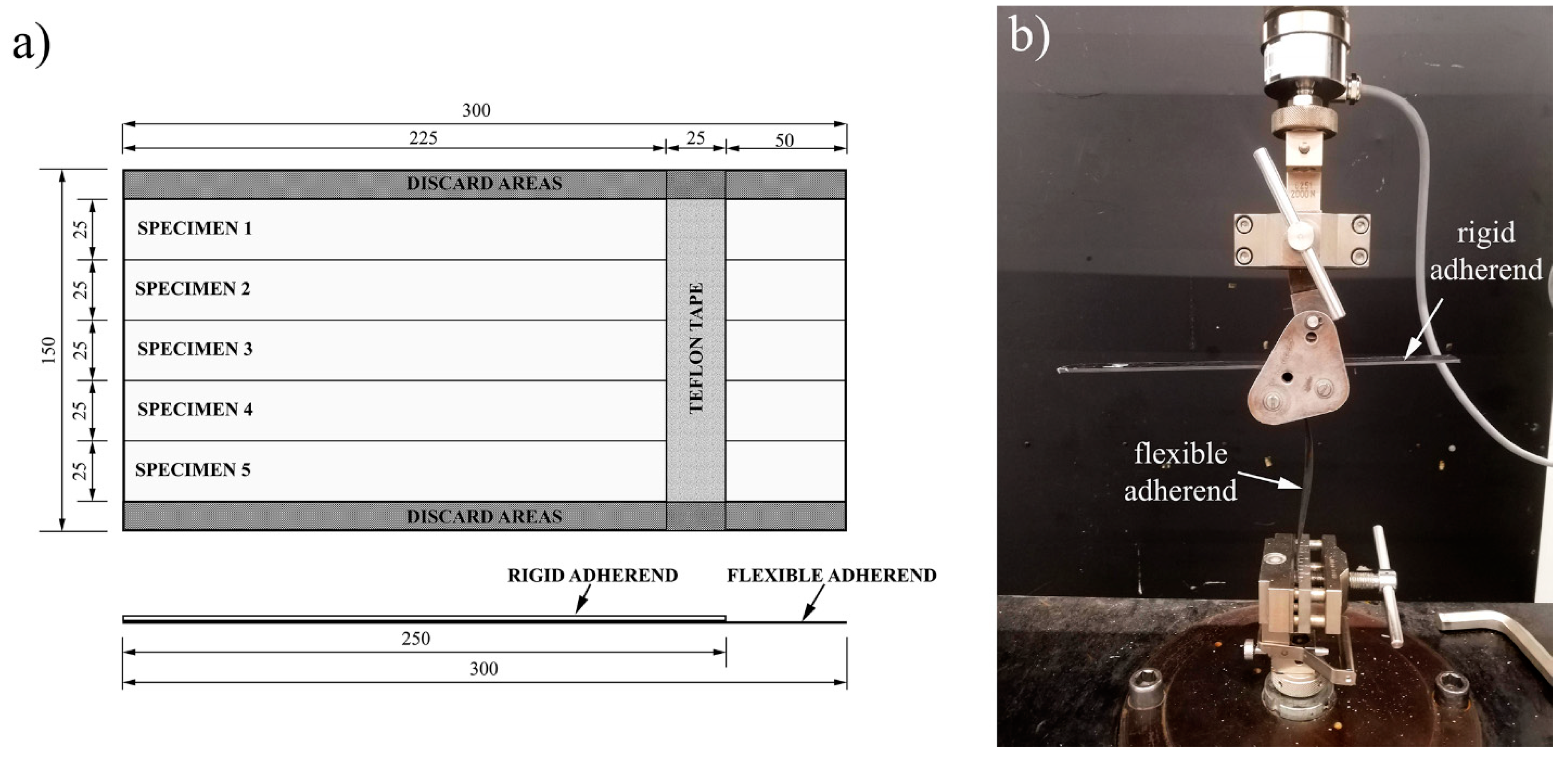 Polymers 12 01541 g003