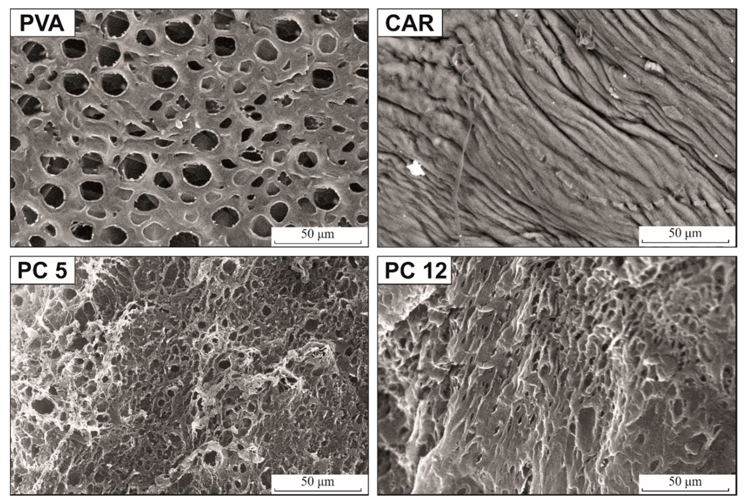 Polymers 12 01544 g006