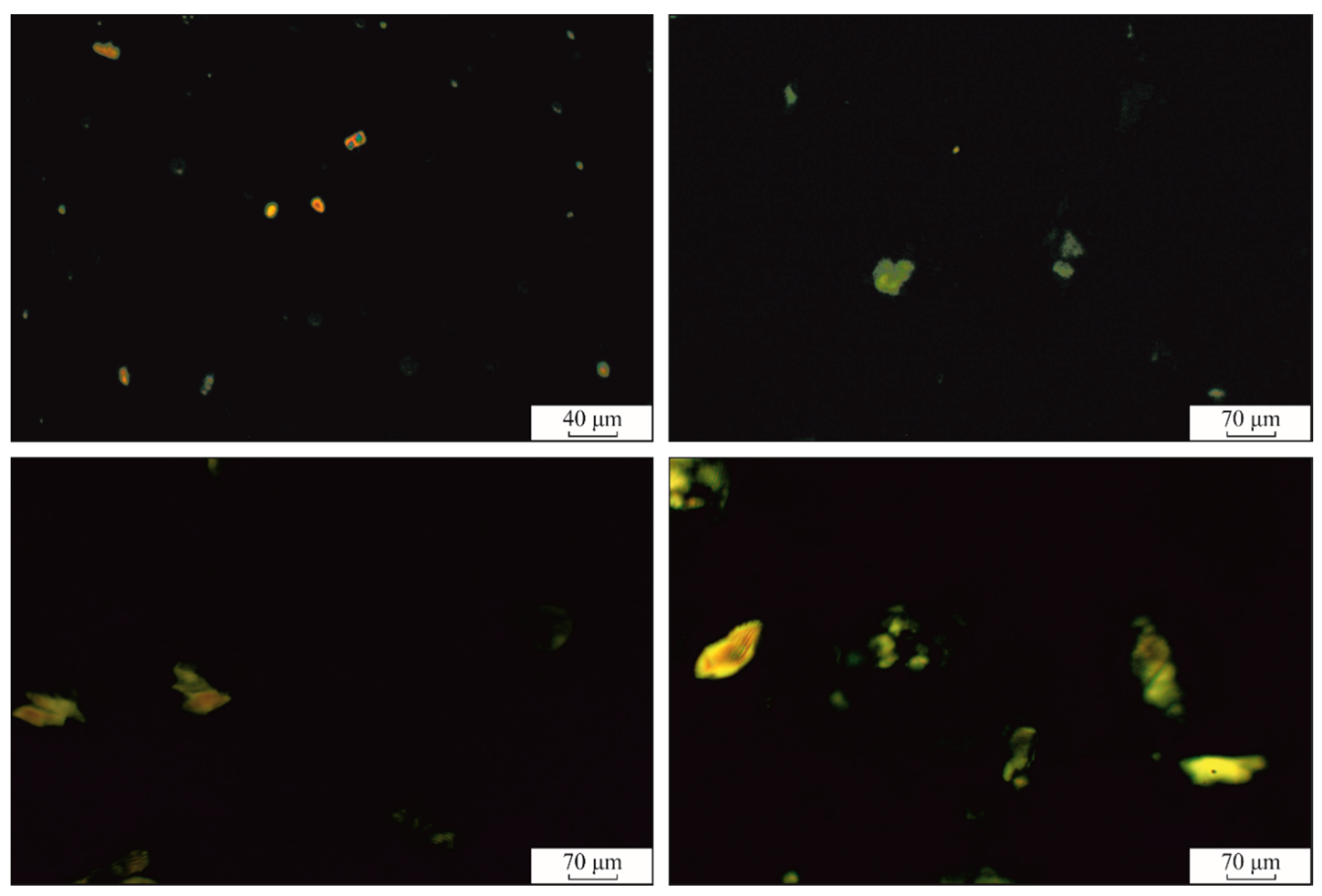 Polymers 12 01544 g008