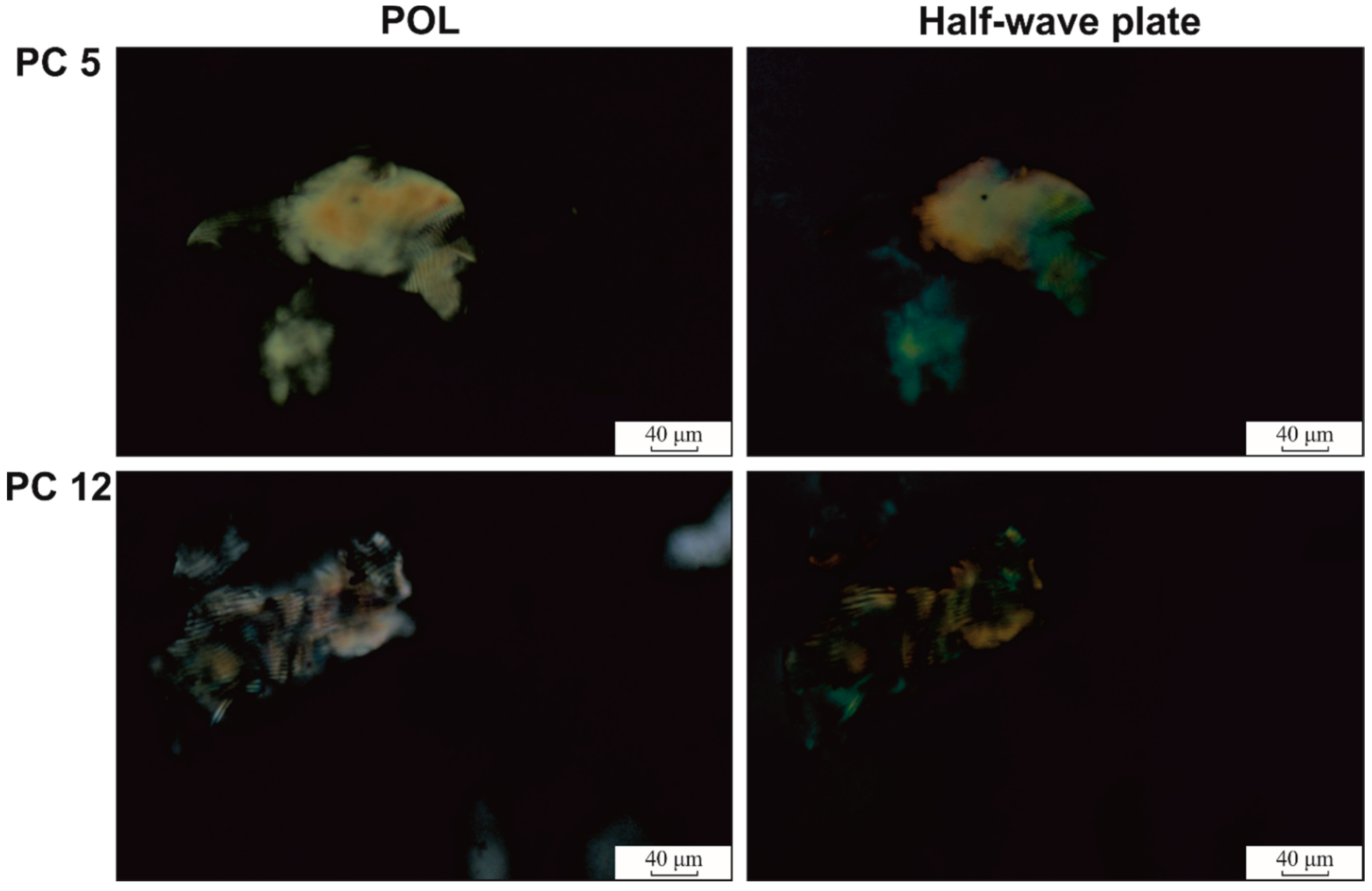 Polymers 12 01544 g009