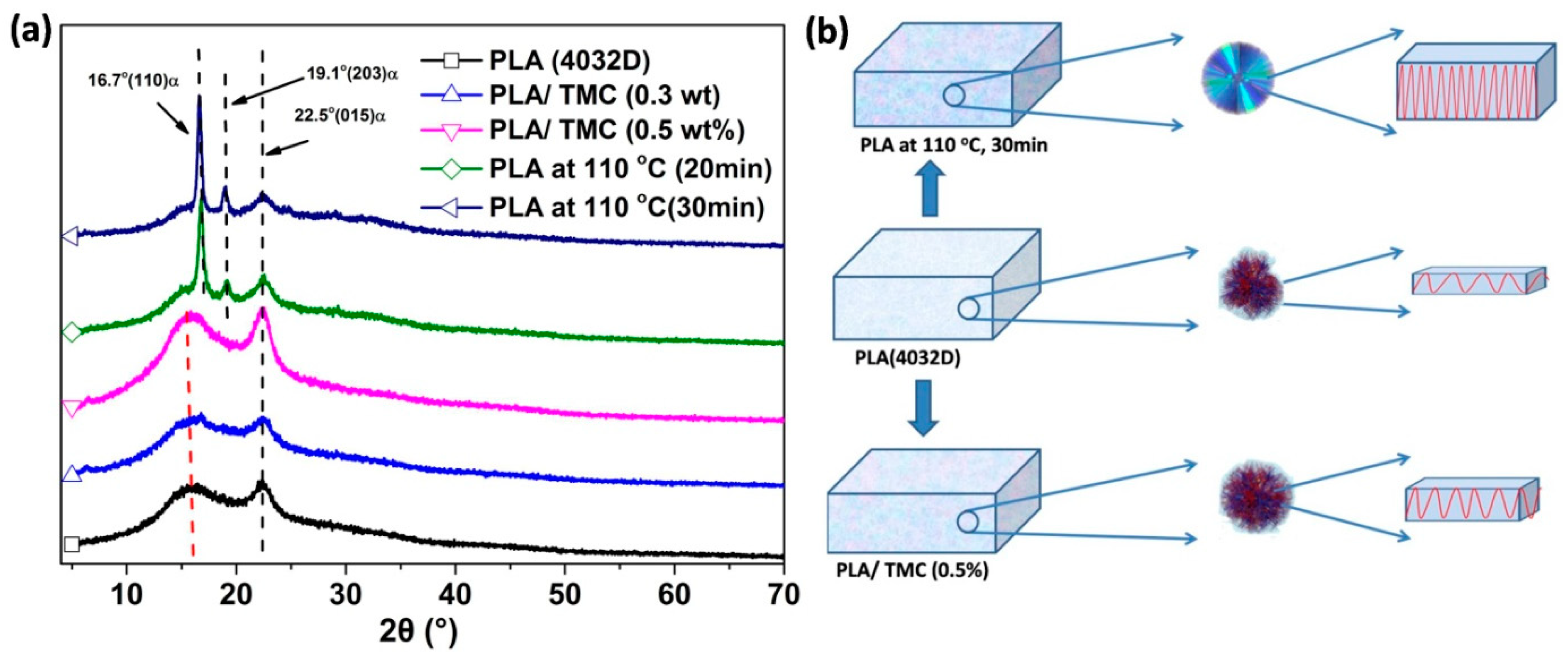 Polymers 12 01563 g005