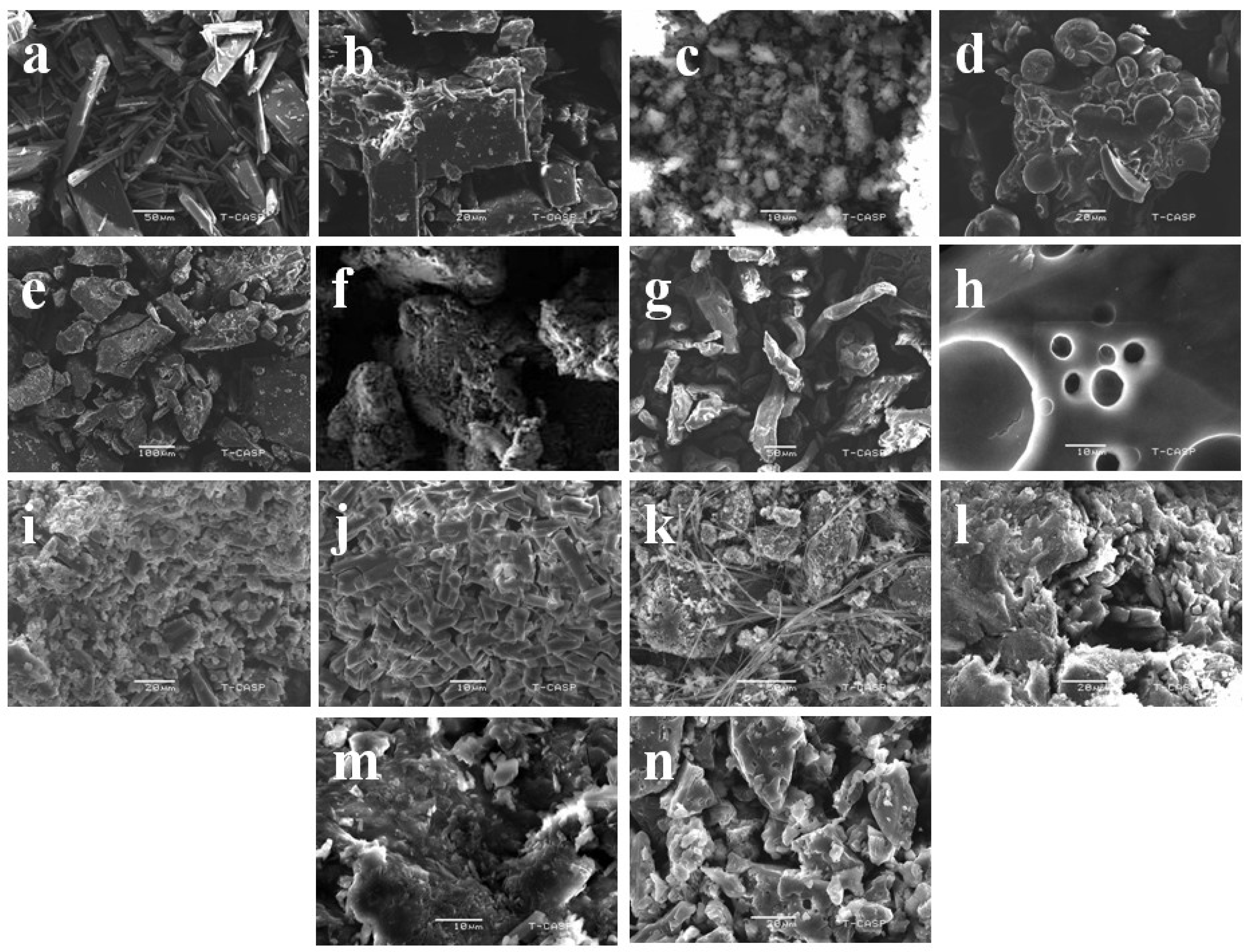 Polymers 12 01564 g003 Polymers 12 01564 g003