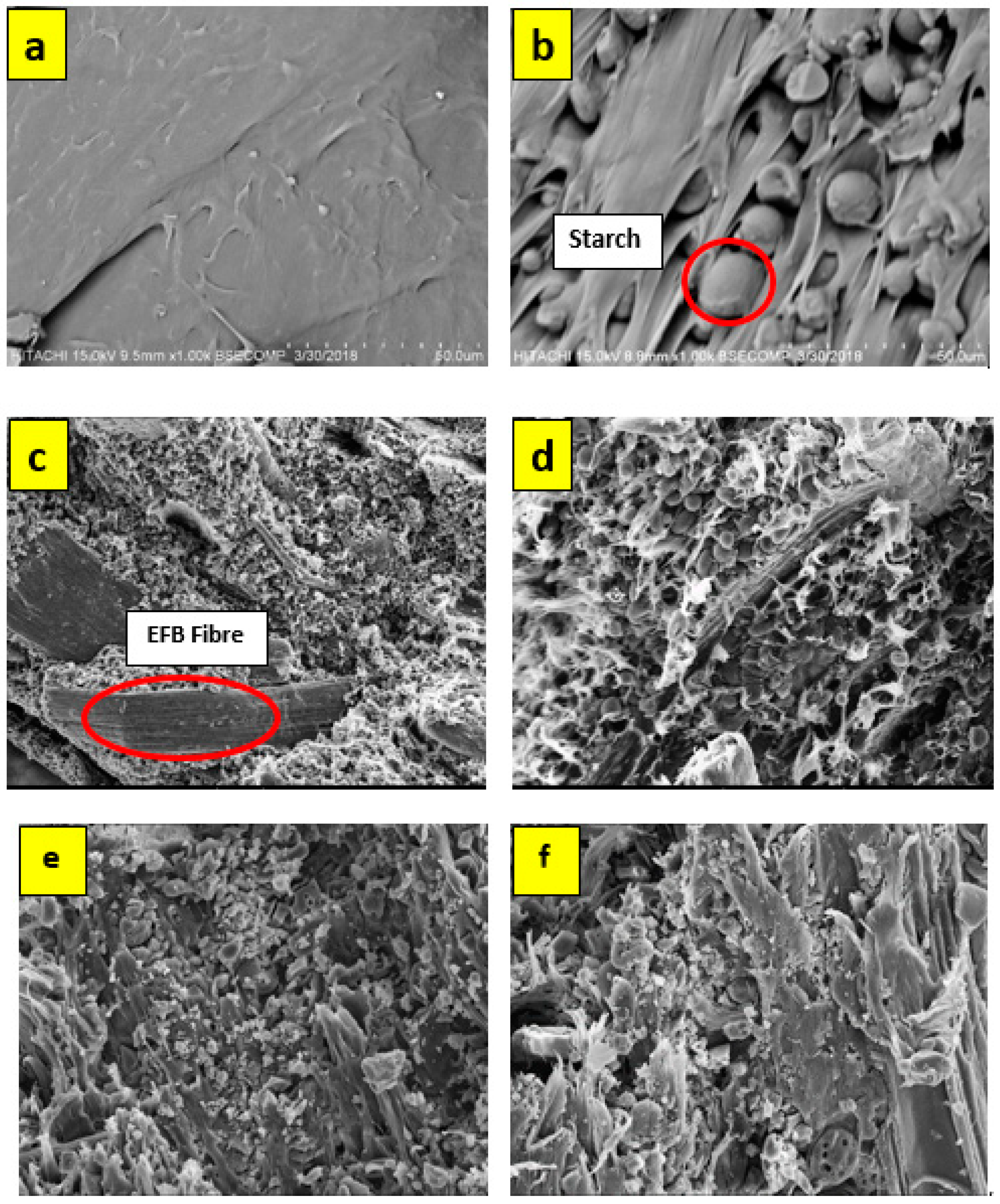 Polymers 12 01571 g004 Polymers 12 01571 g004
