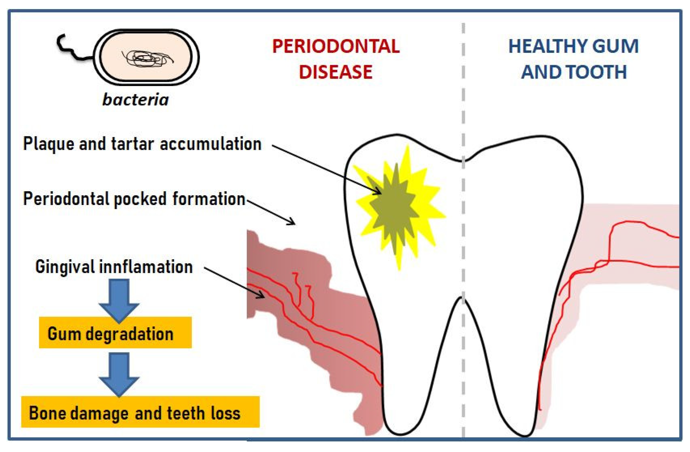 Polymers 12 01574 g001 Polymers 12 01574 g001