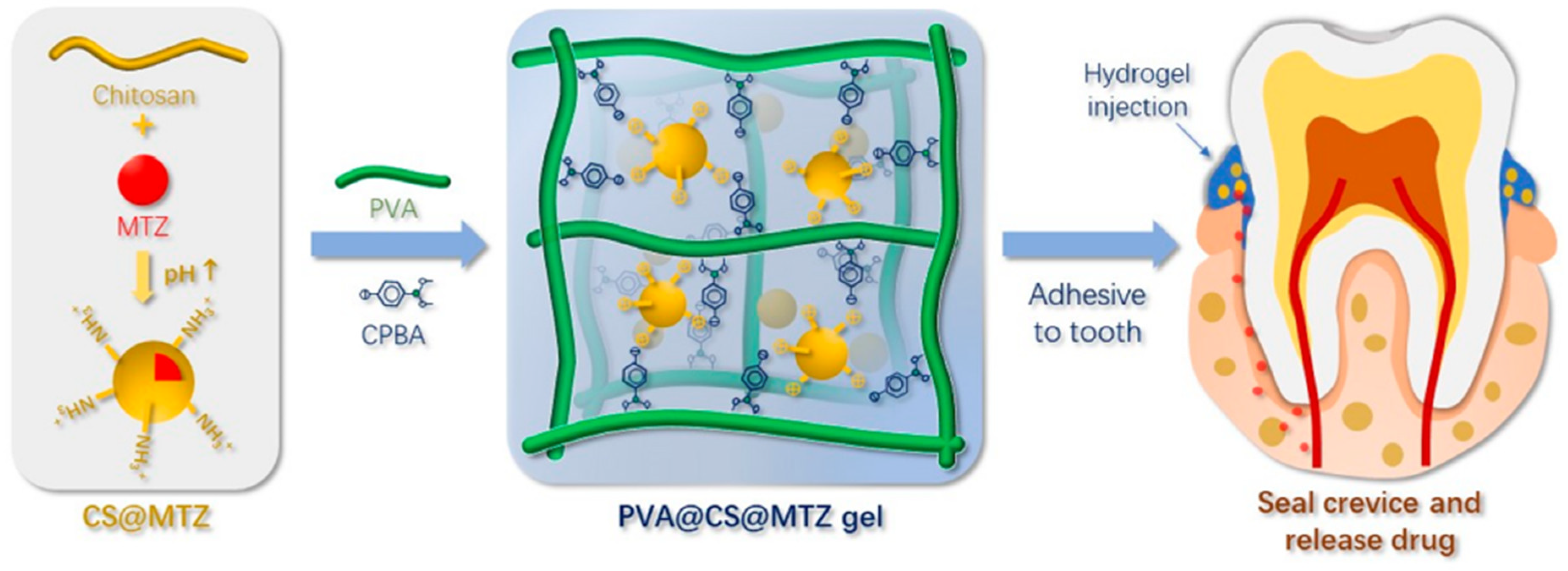 Polymers 12 01574 g006 Polymers 12 01574 g006
