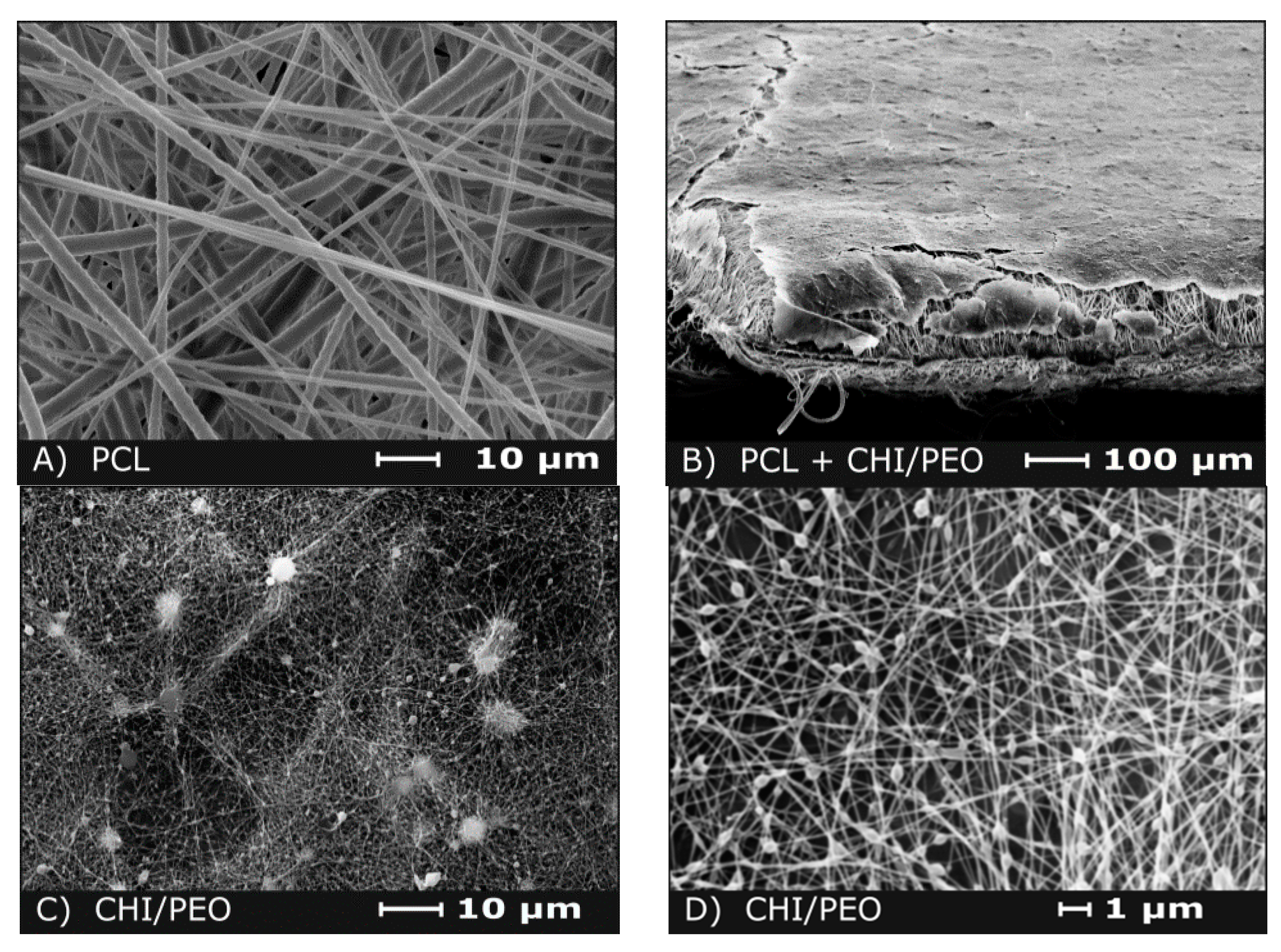 Polymers 12 01580 g001