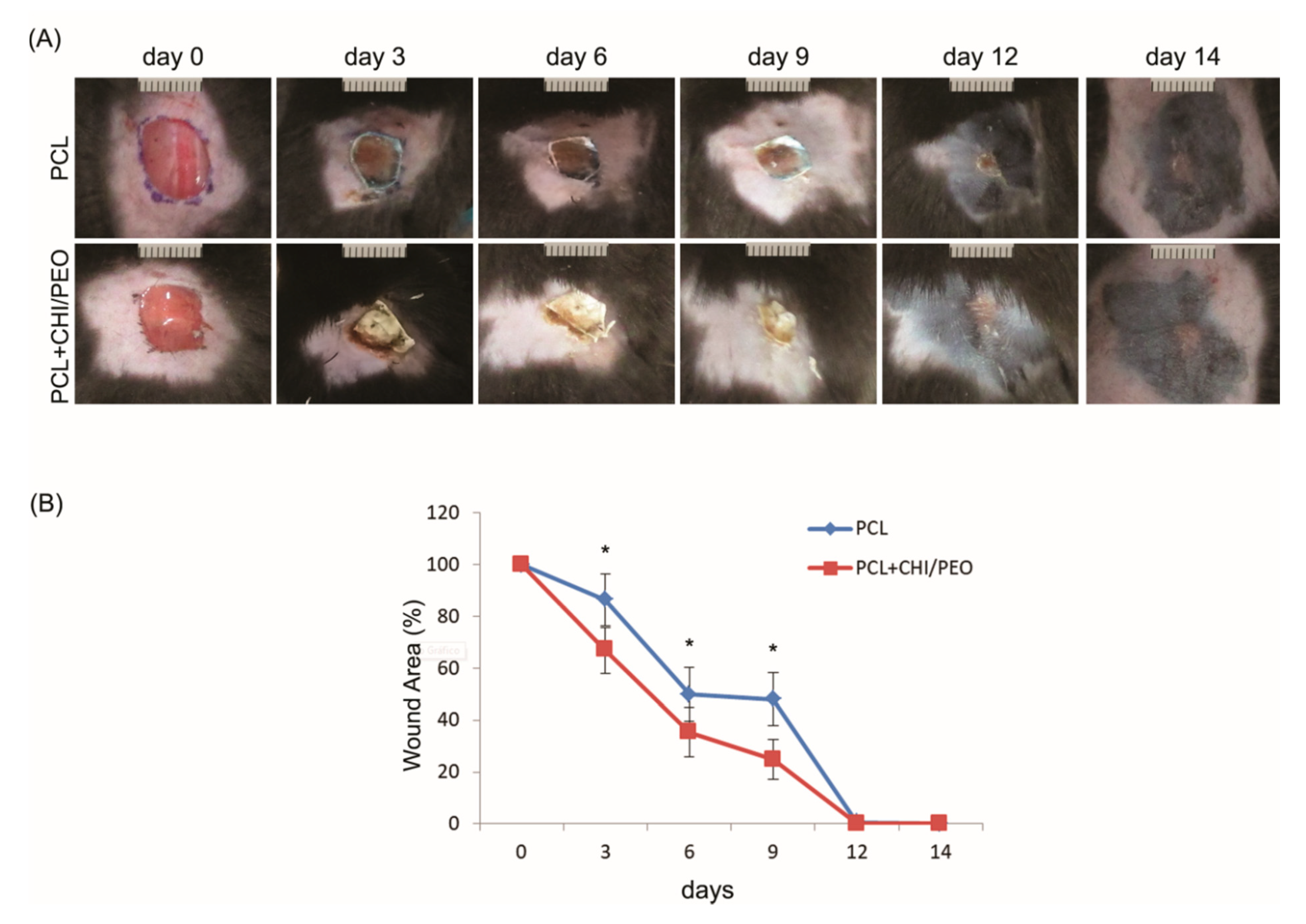 Polymers 12 01580 g002