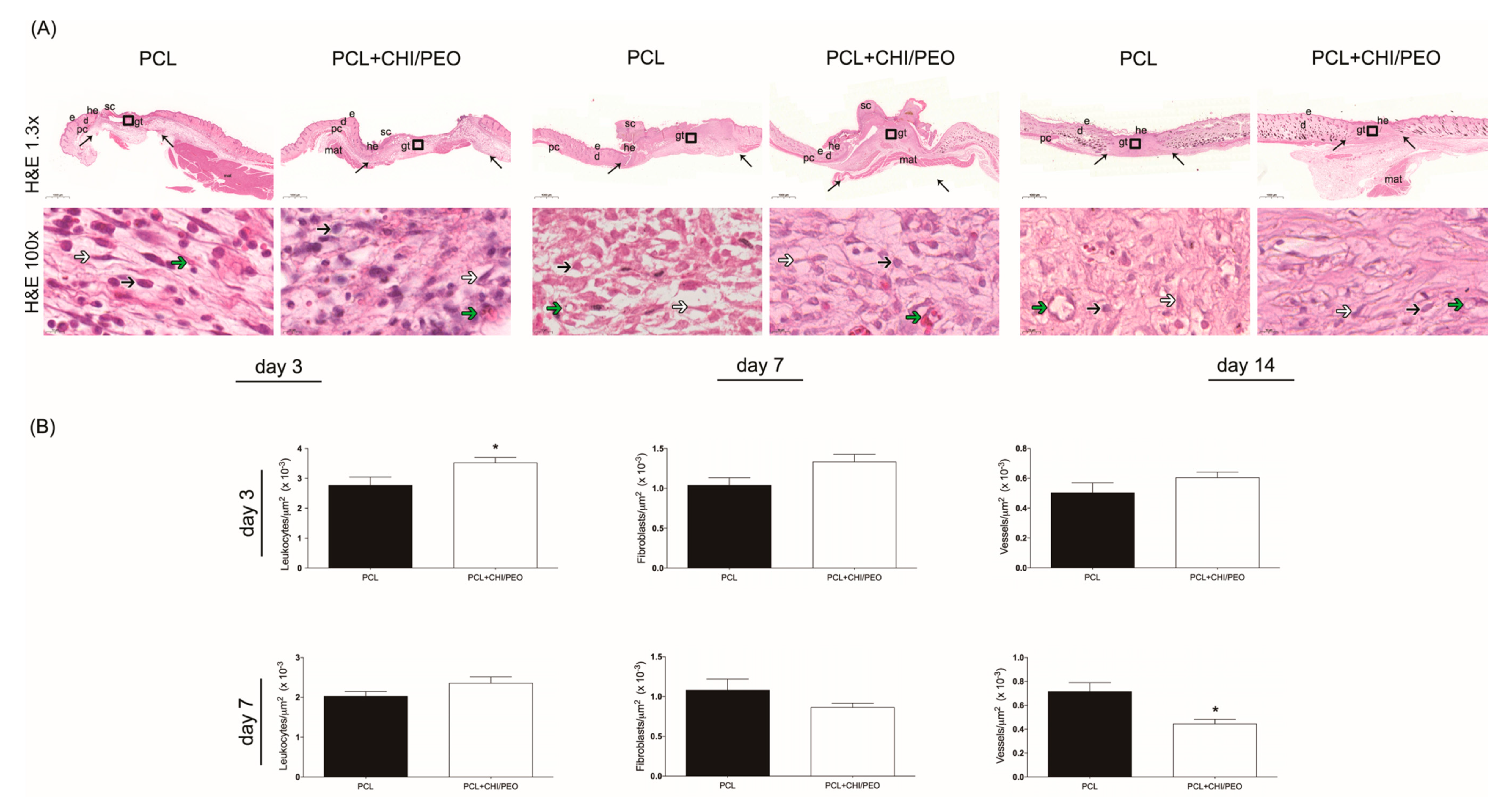 Polymers 12 01580 g003