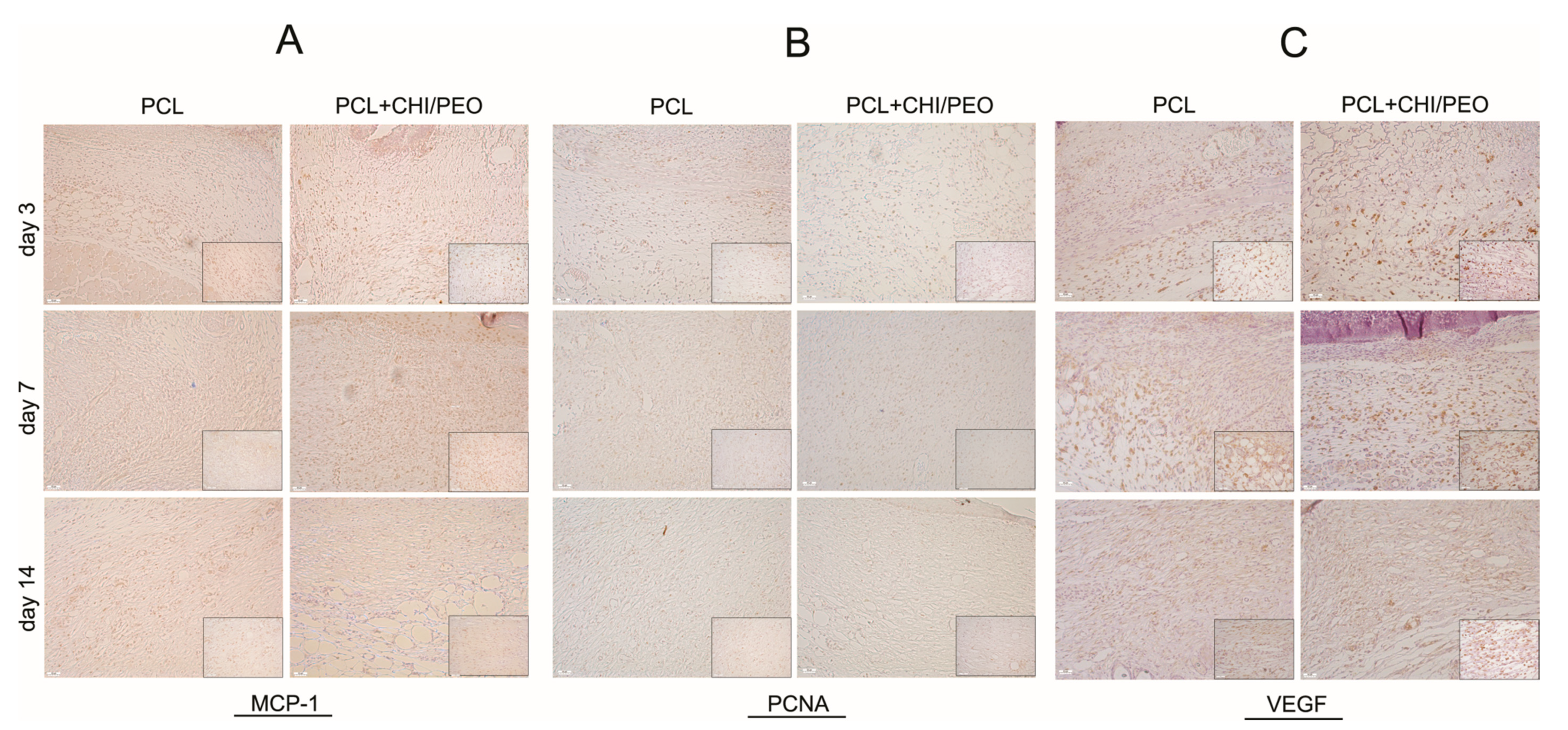 Polymers 12 01580 g004