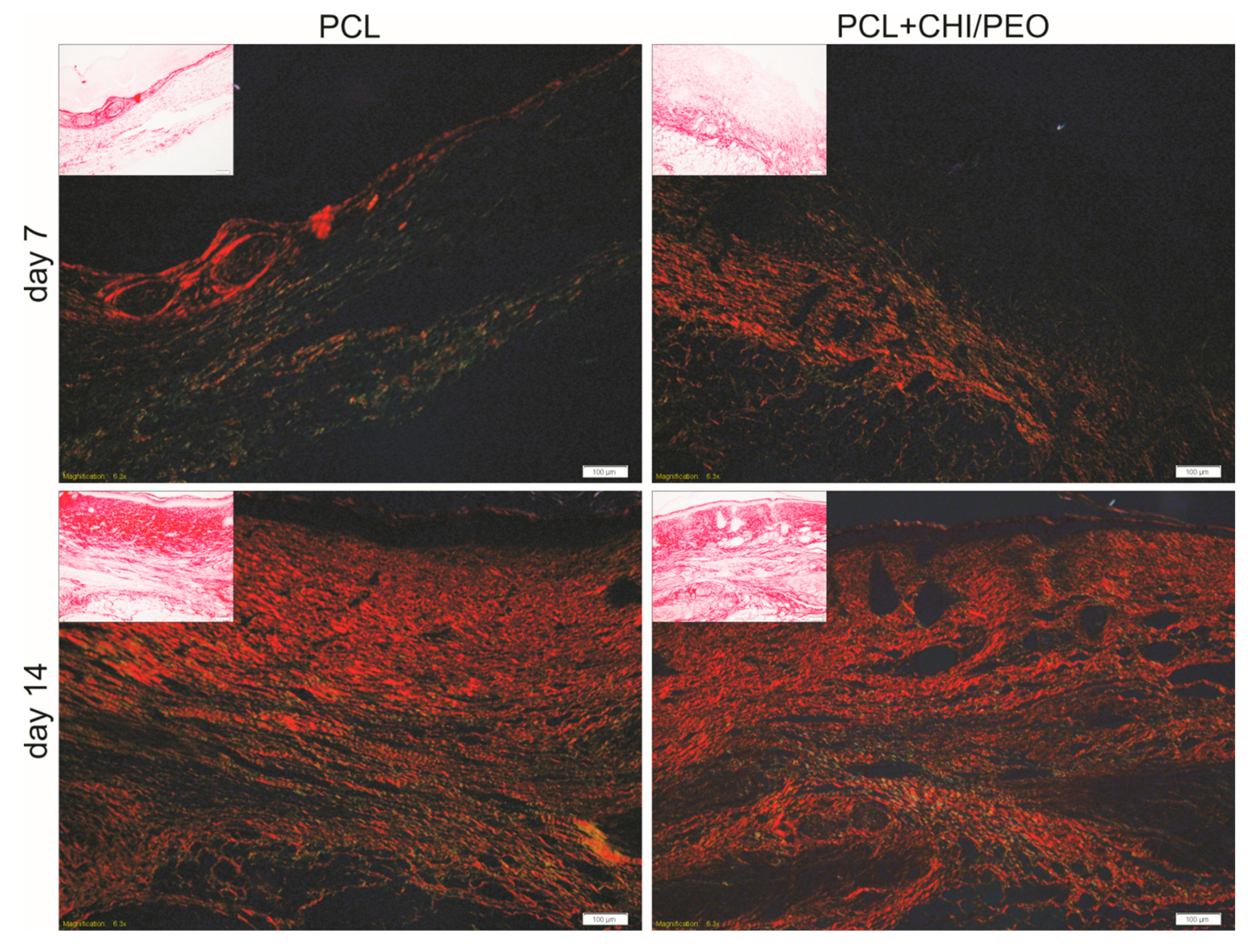 Polymers 12 01580 g005