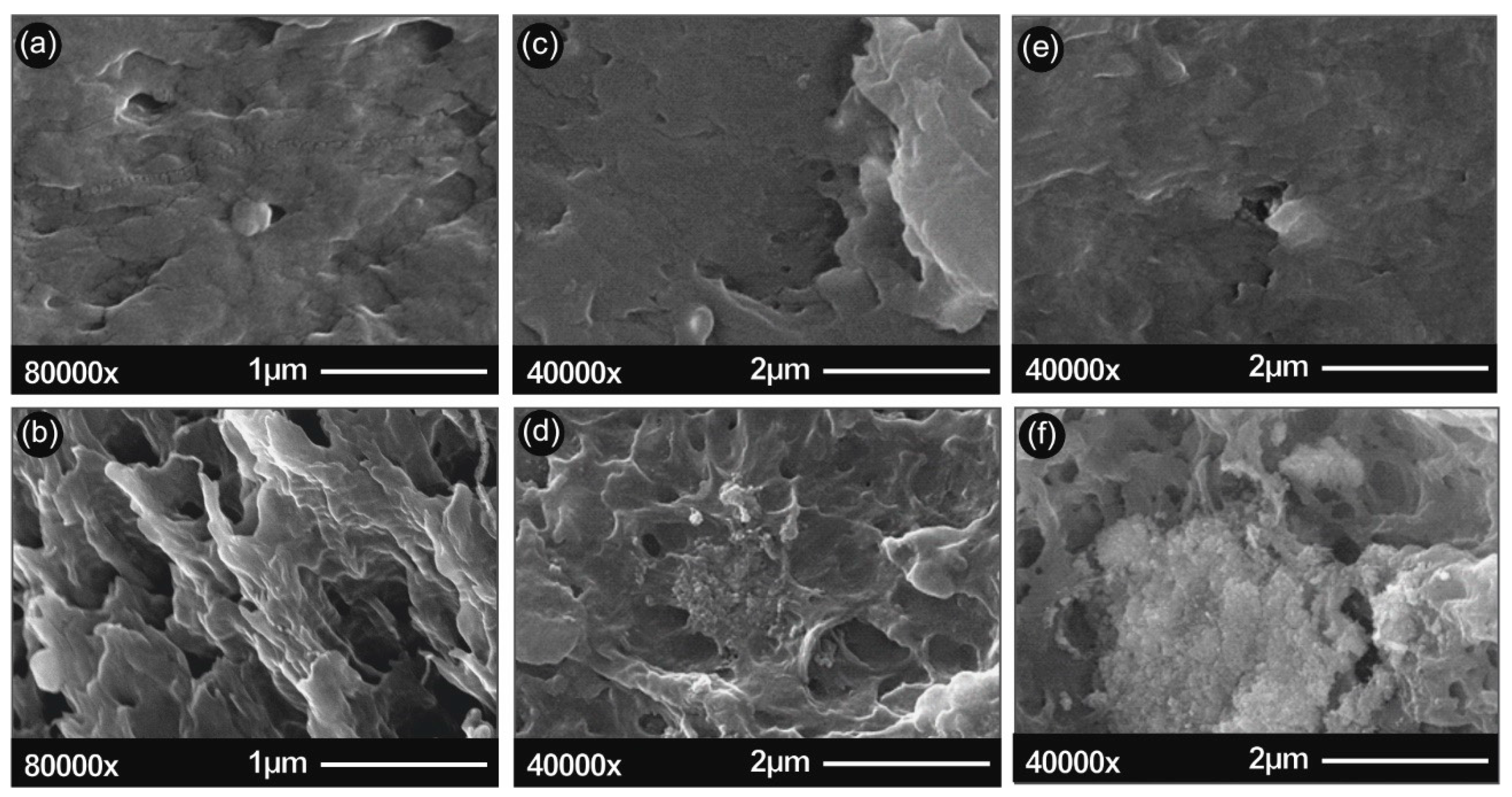 Polymers 12 01589 g002 Polymers 12 01589 g002