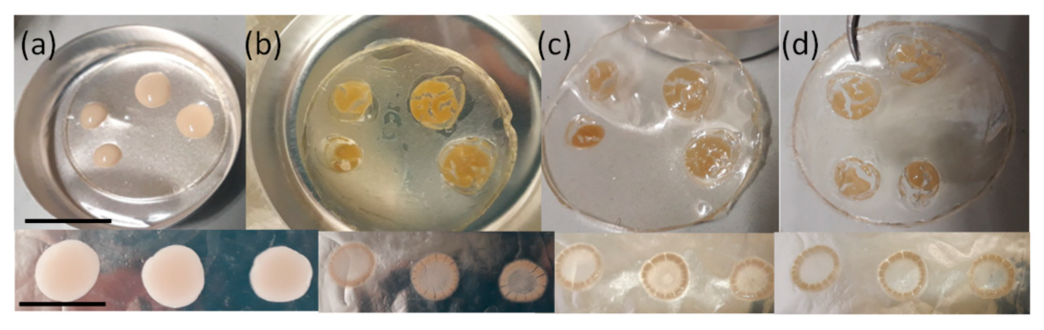 Polymers 12 01596 g006