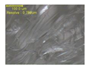 Polymers 12 01600 i010 Polymers 12 01600 i010