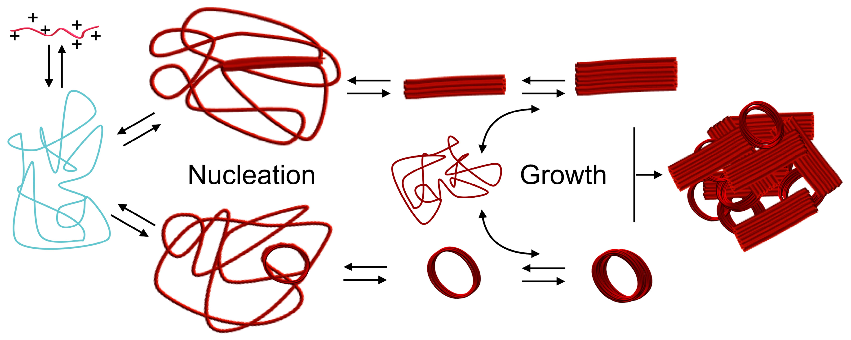 Polymers 12 01603 g002