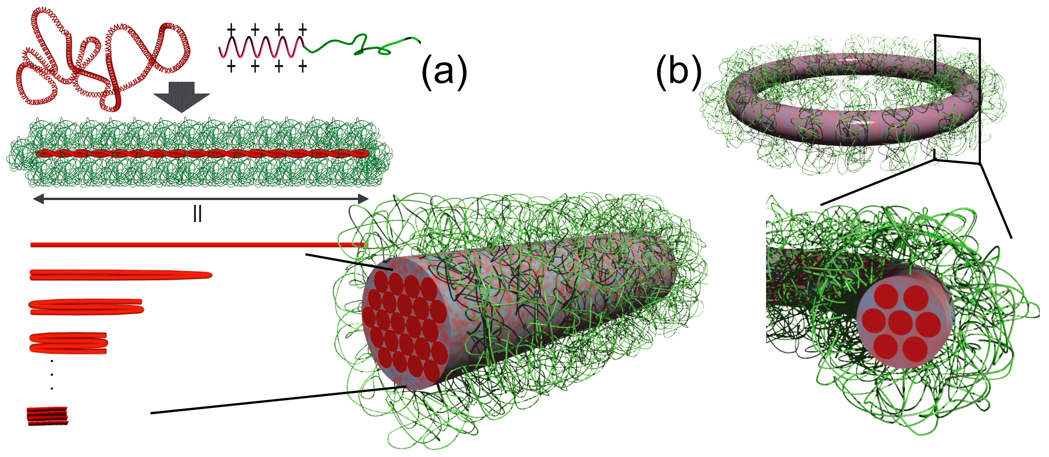 Polymers 12 01603 g006