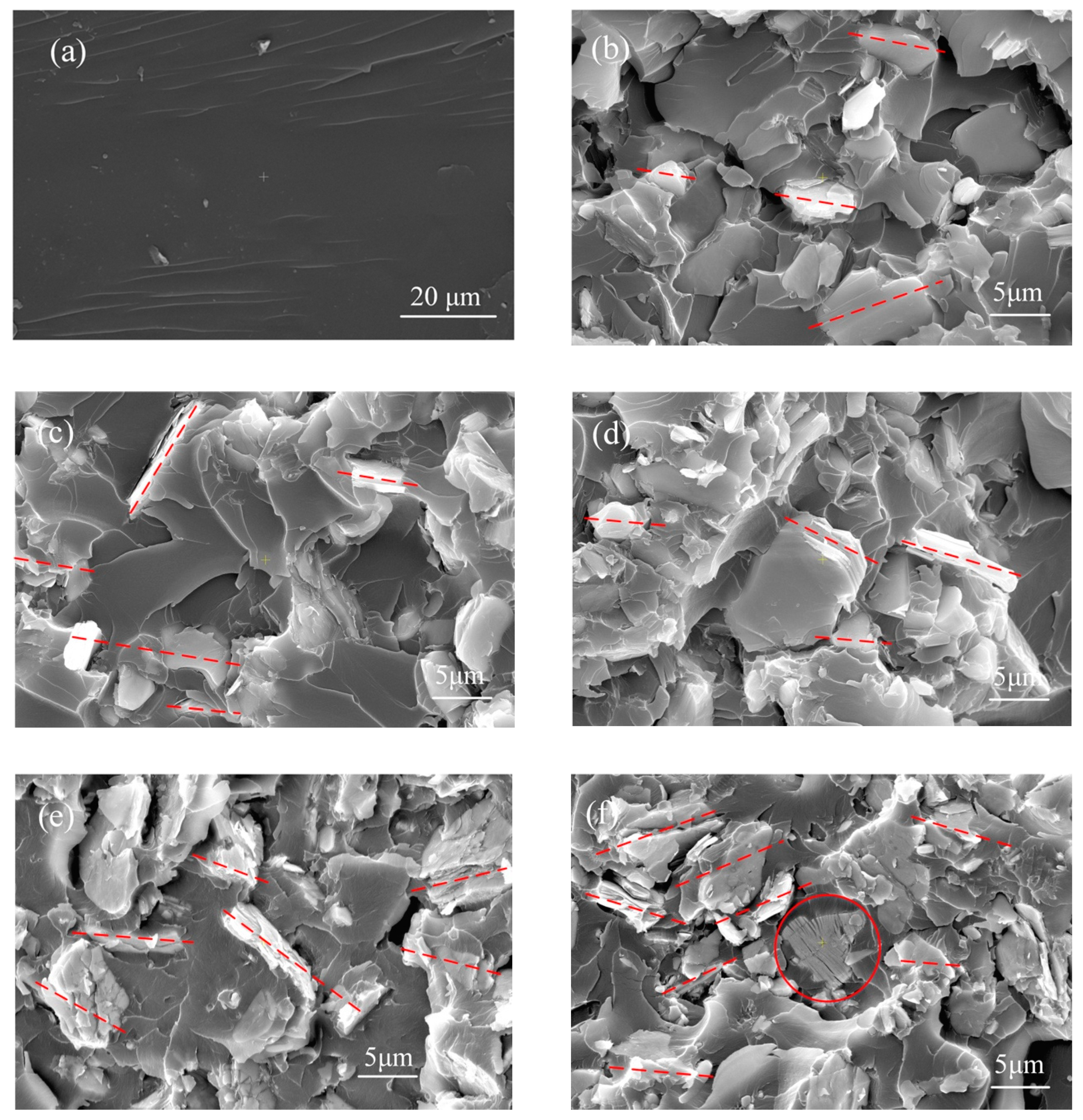 Polymers 12 01608 g002
