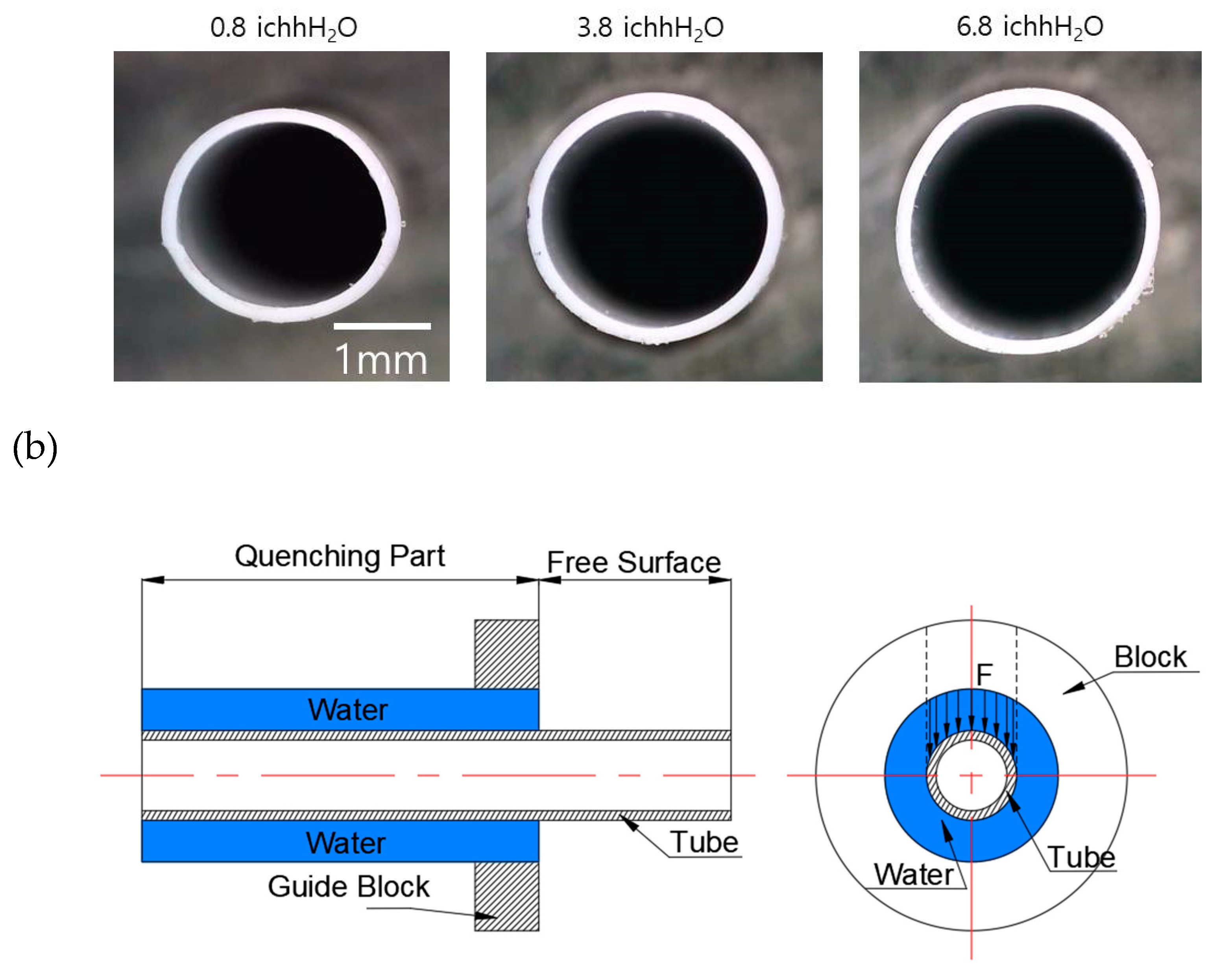Polymers 12 01628 g007b