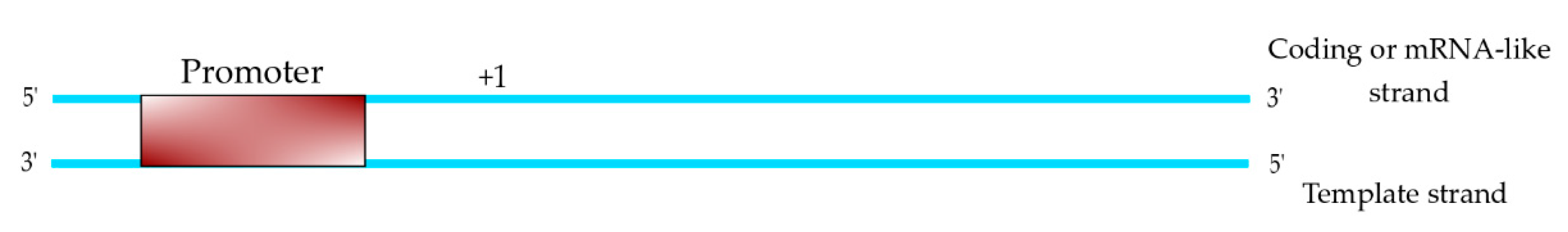 Polymers 12 01633 g001