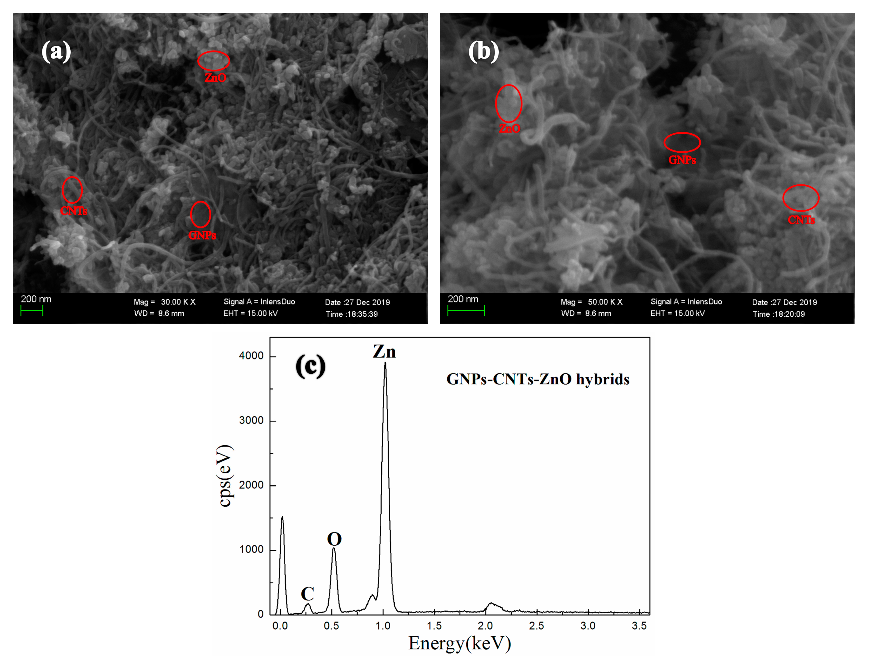 Polymers 12 01634 g002 Polymers 12 01634 g002