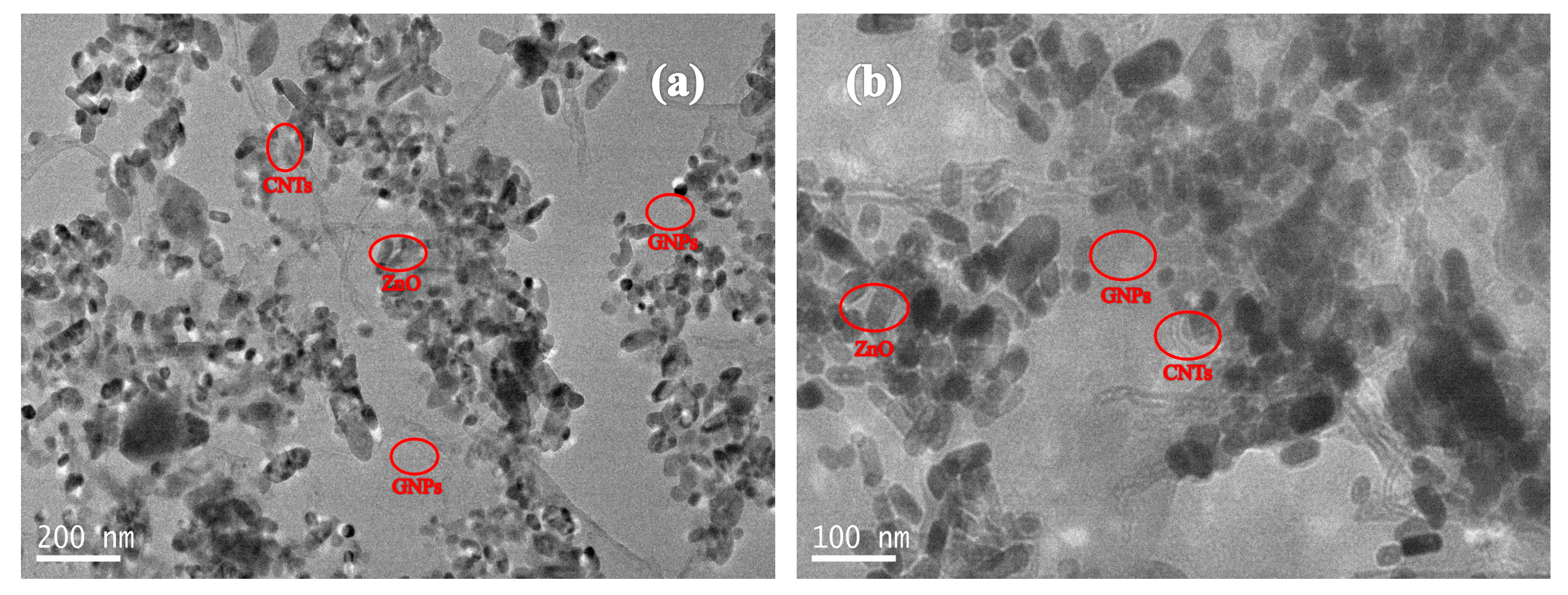 Polymers 12 01634 g003 Polymers 12 01634 g003