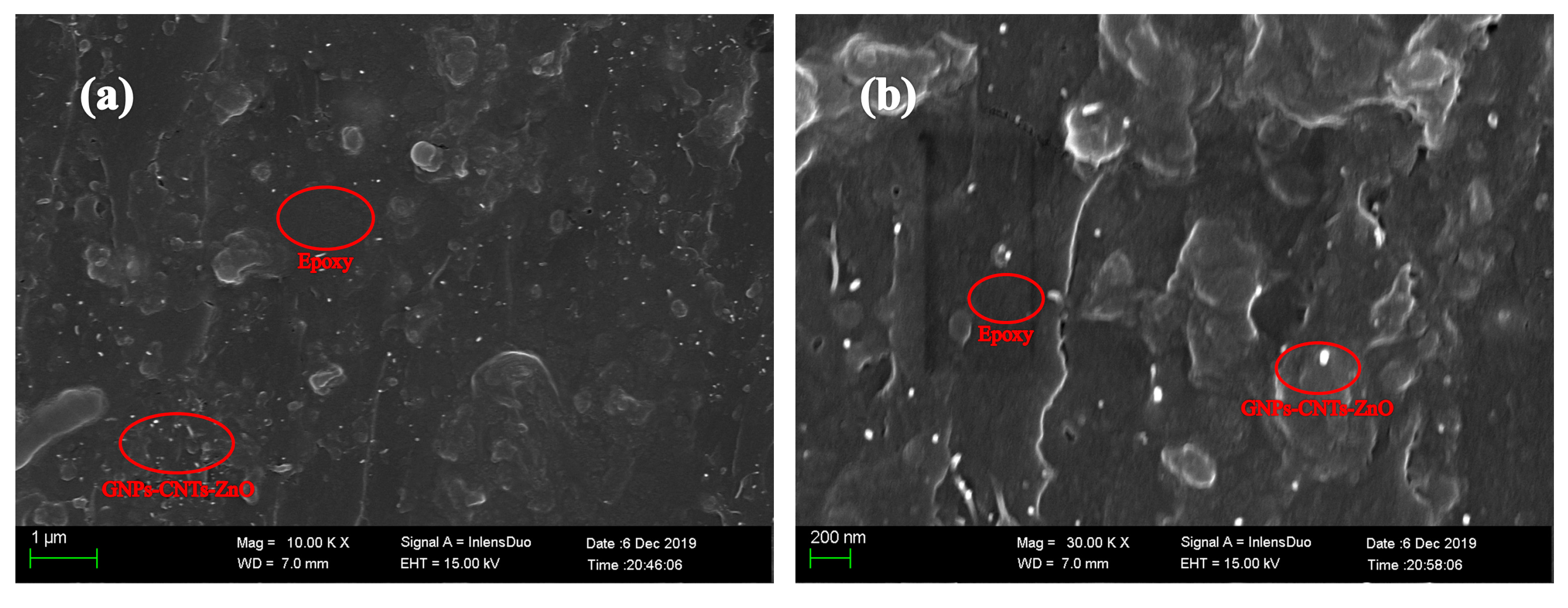 Polymers 12 01634 g008 Polymers 12 01634 g008
