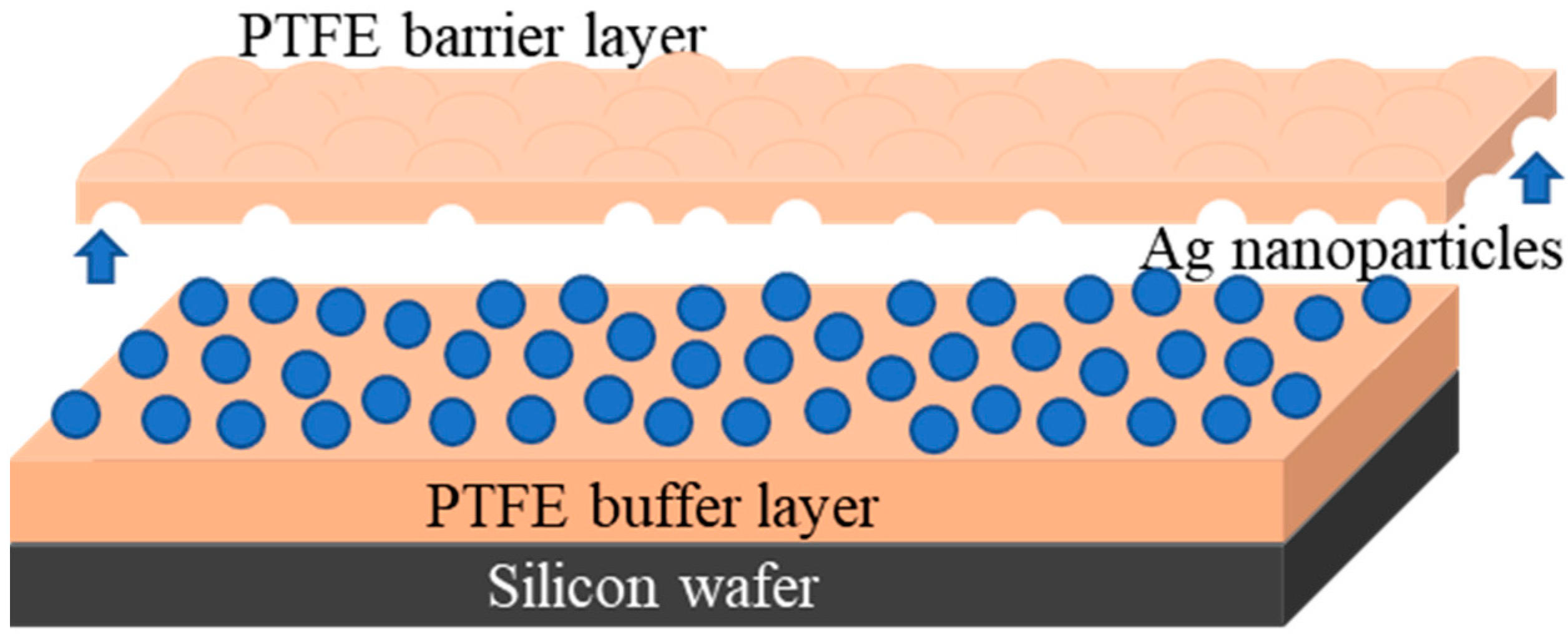 Polymers 12 01640 g002 Polymers 12 01640 g002