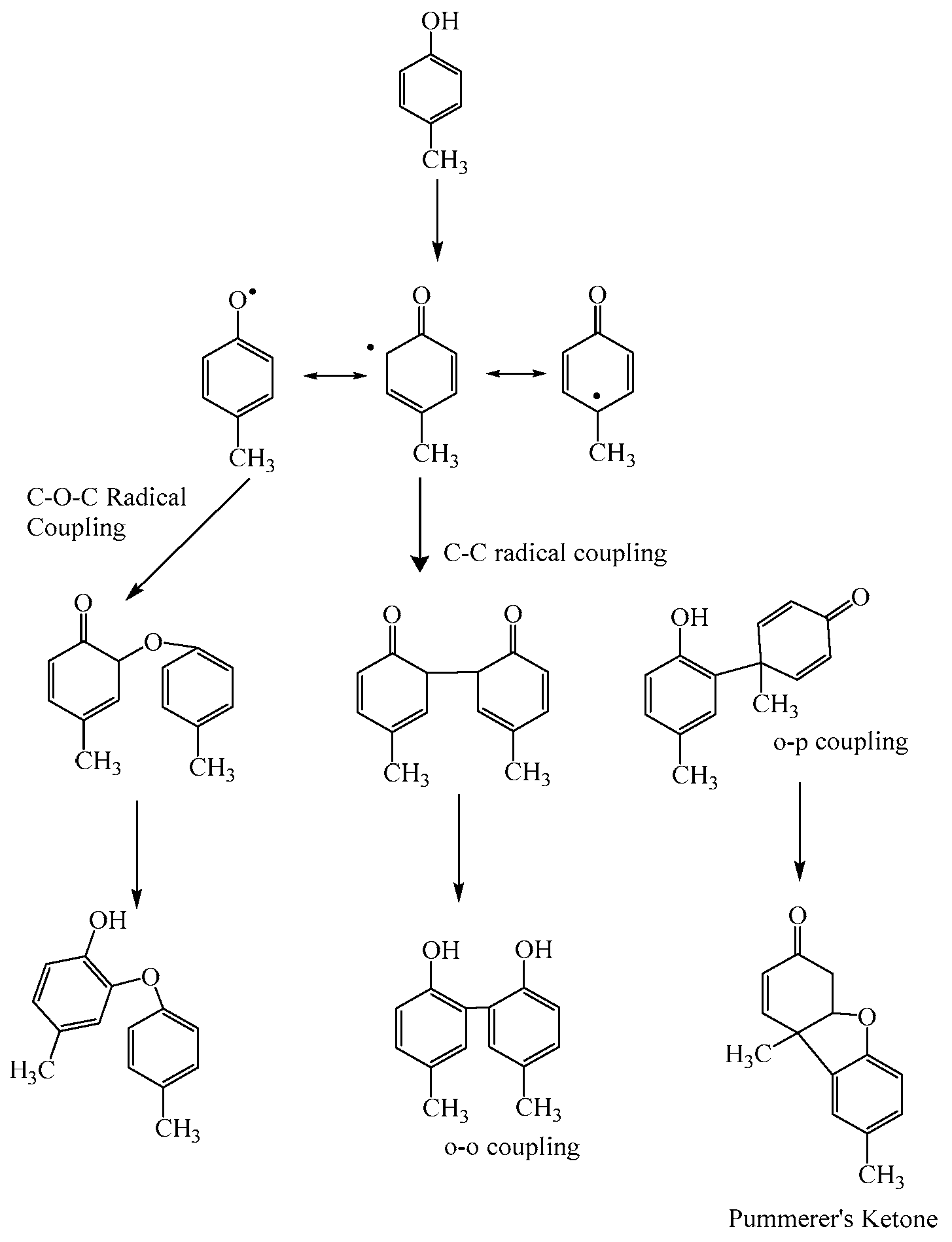 Polymers 12 01646 g004