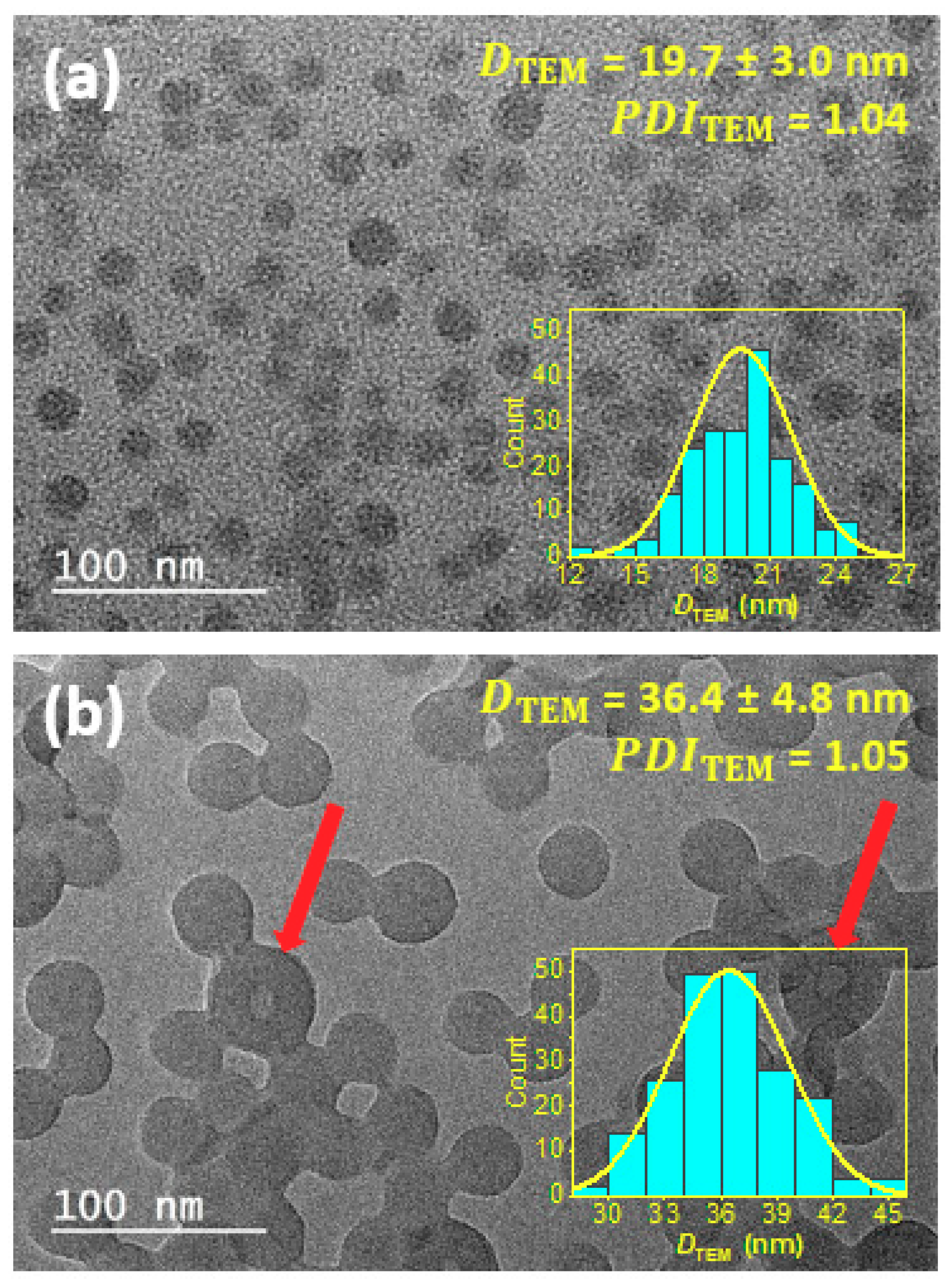 Polymers 12 01656 g002