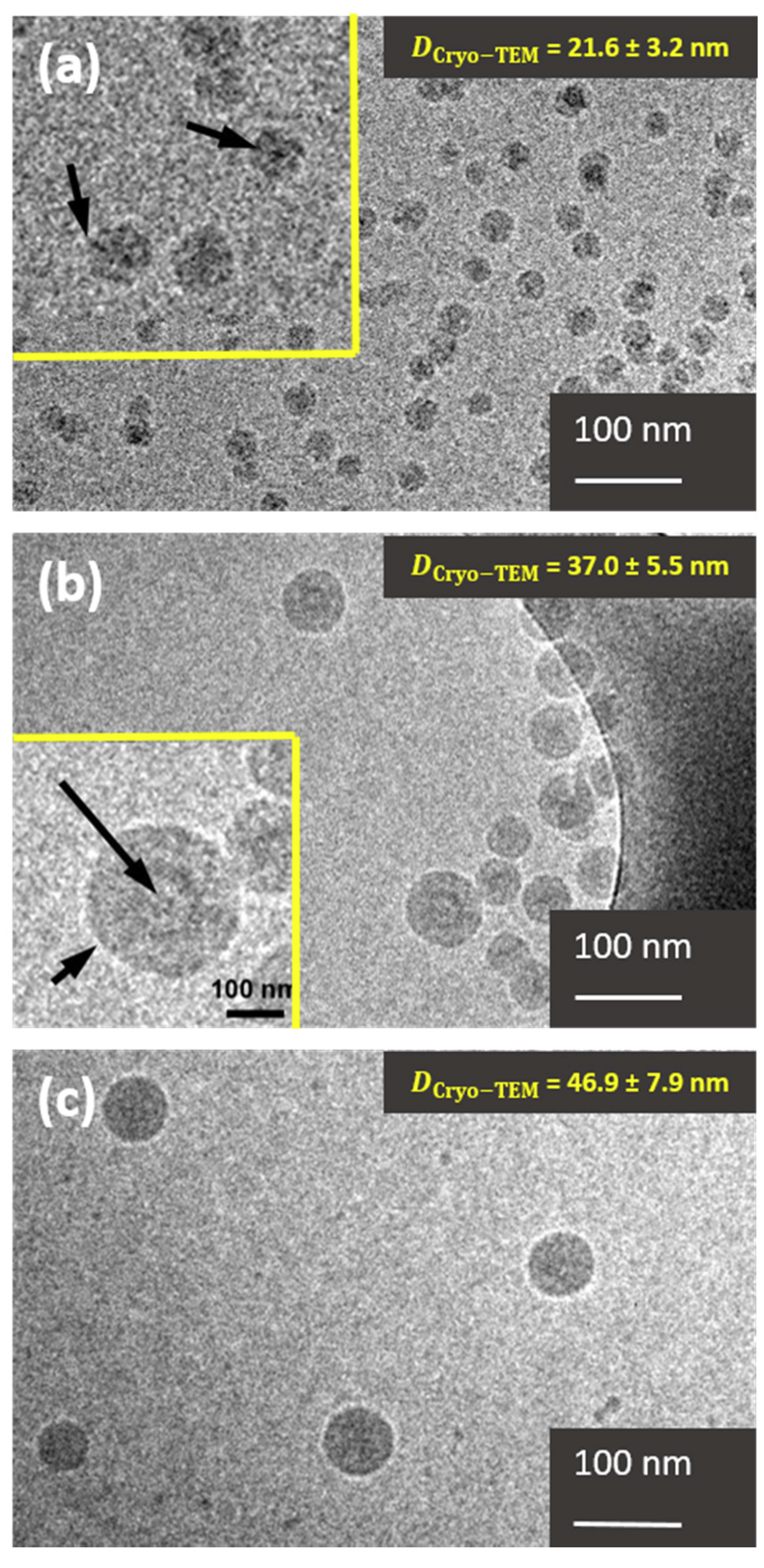 Polymers 12 01656 g005